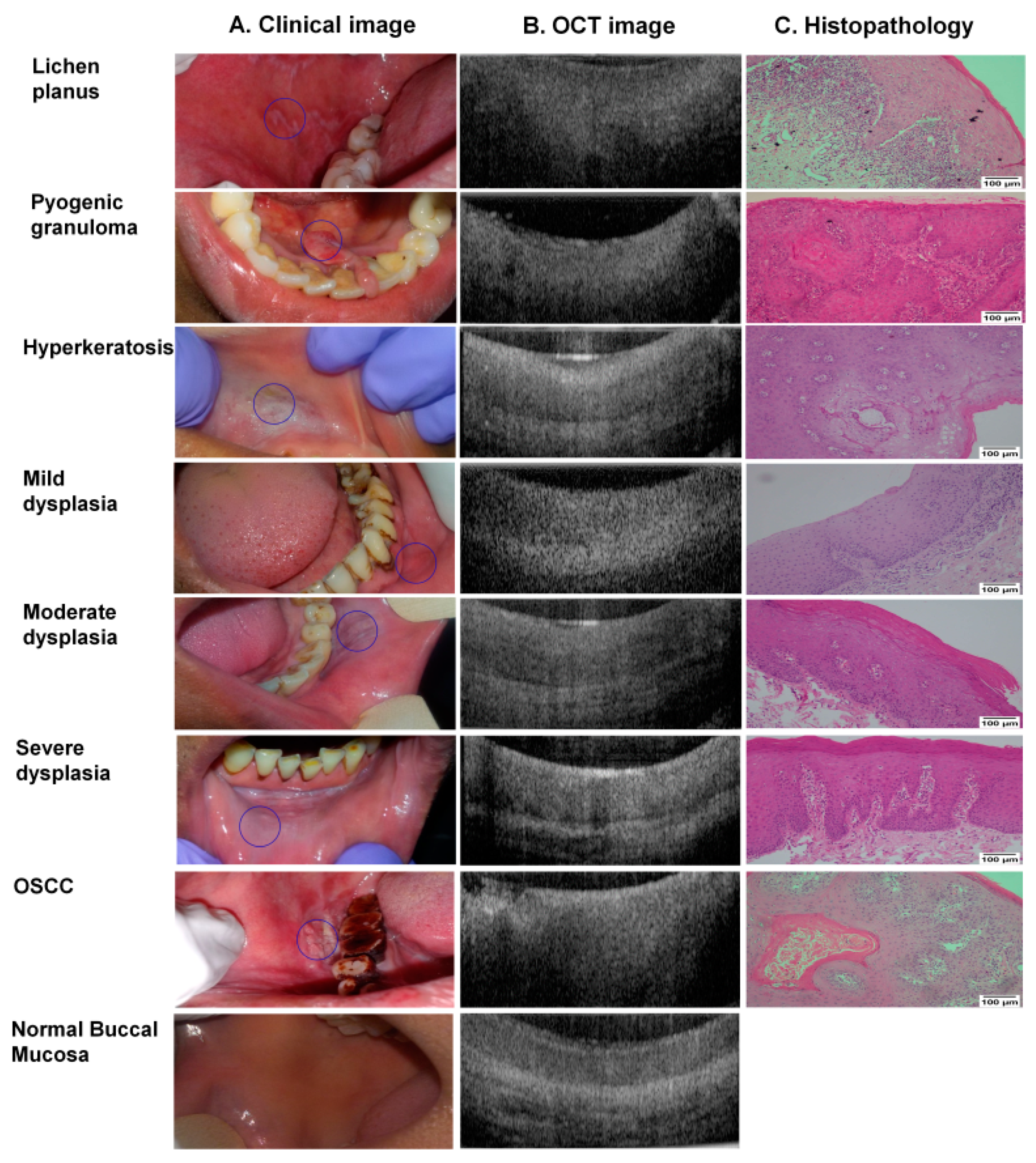 Cancers 13 03583 g003