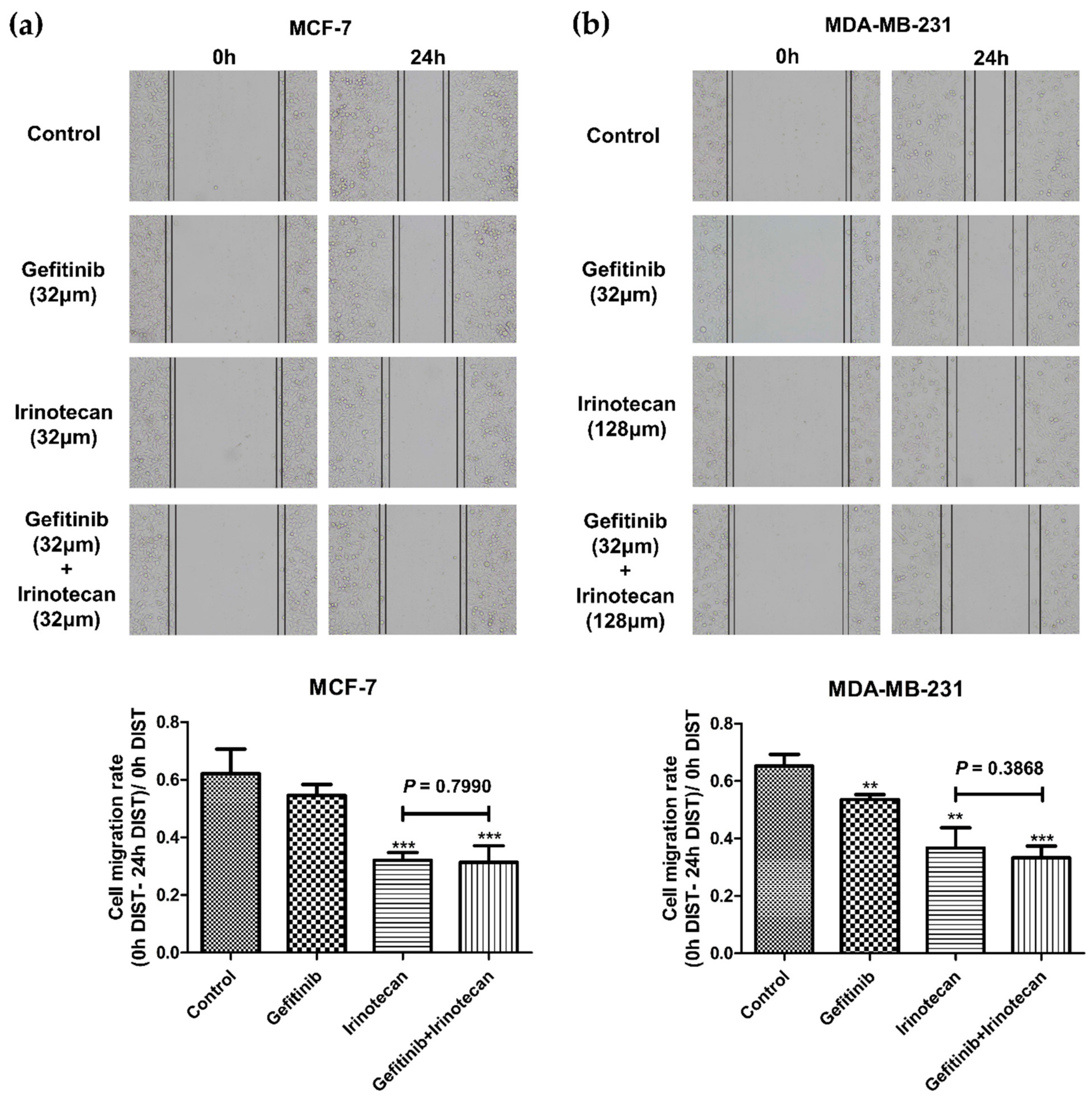 Cancers 13 03586 g005