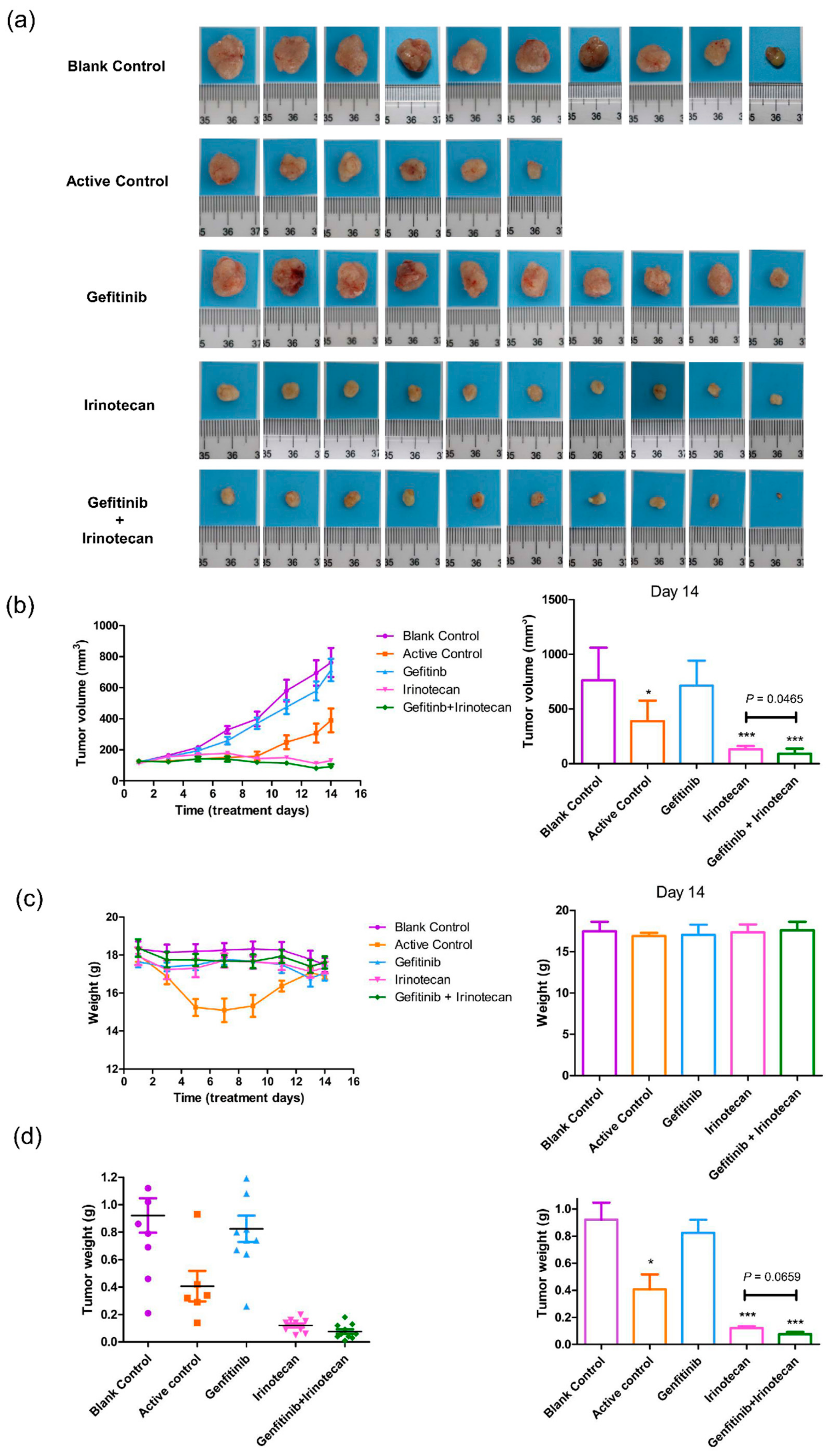 Cancers 13 03586 g006