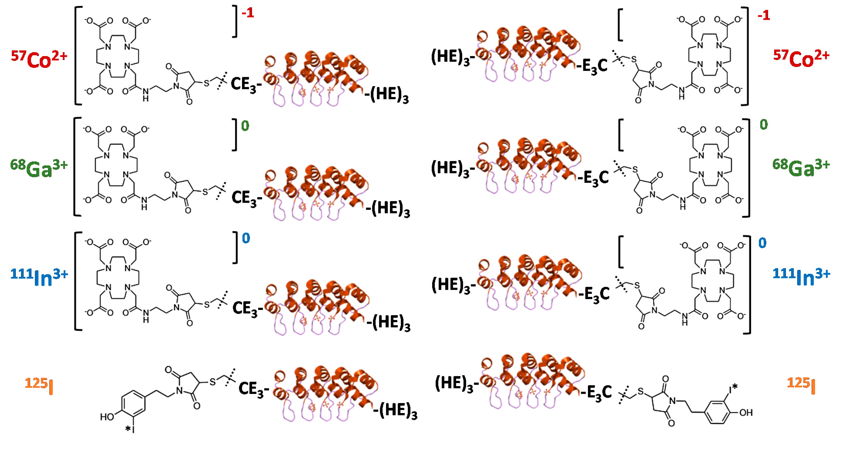 Cancers 13 03589 g001