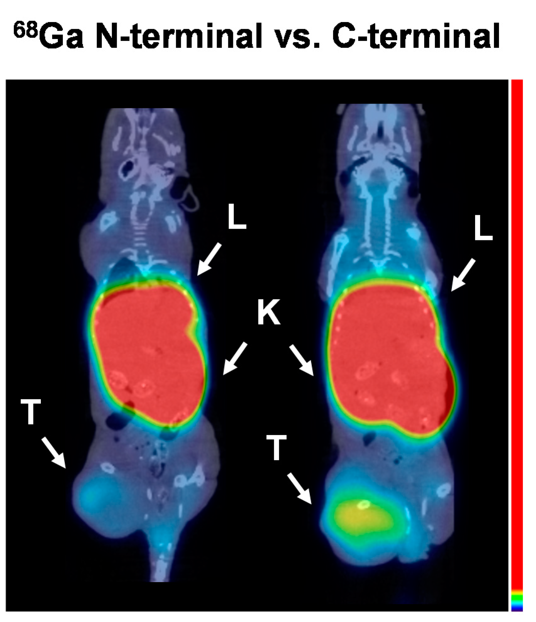 Cancers 13 03589 g006