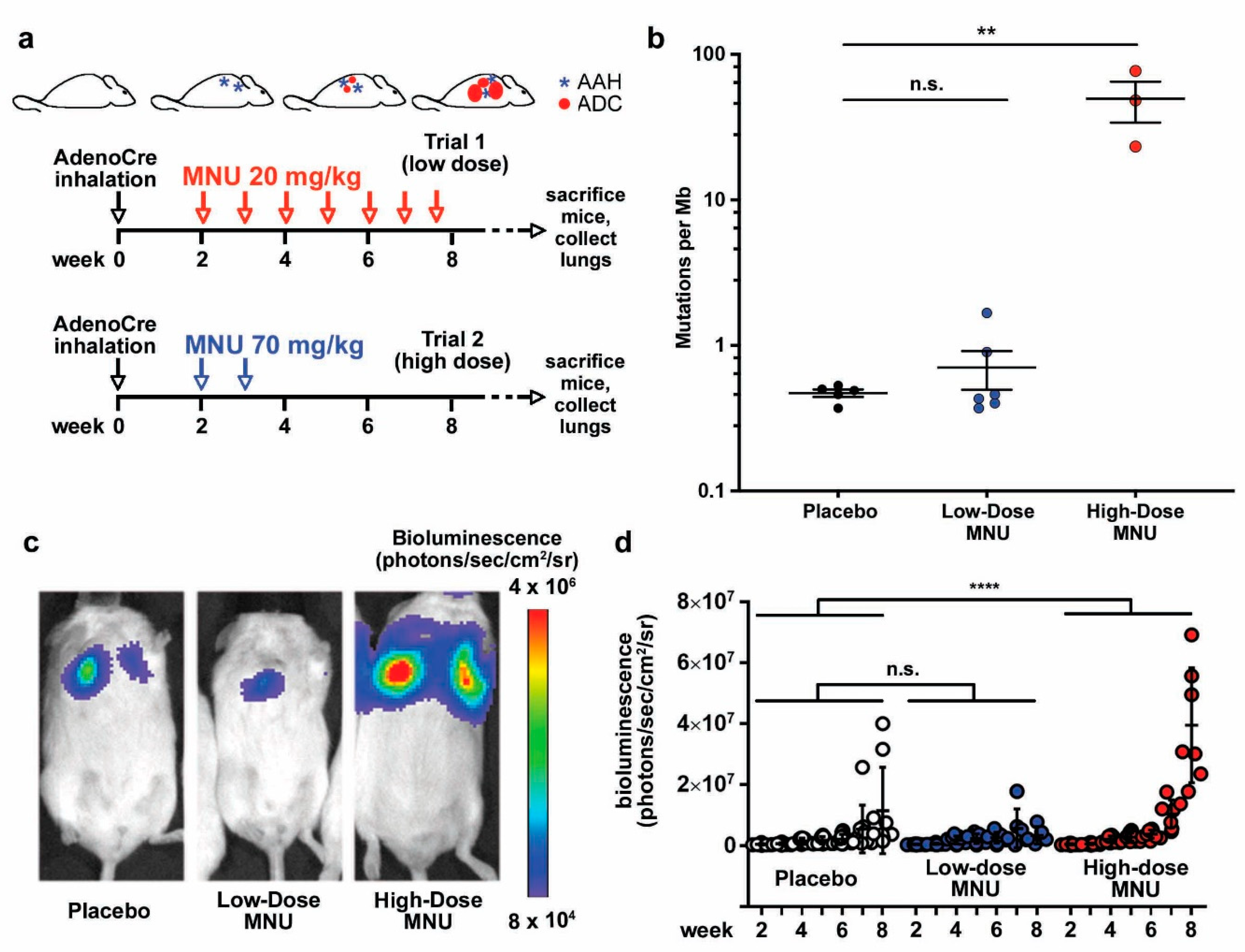 Cancers 13 03595 g001