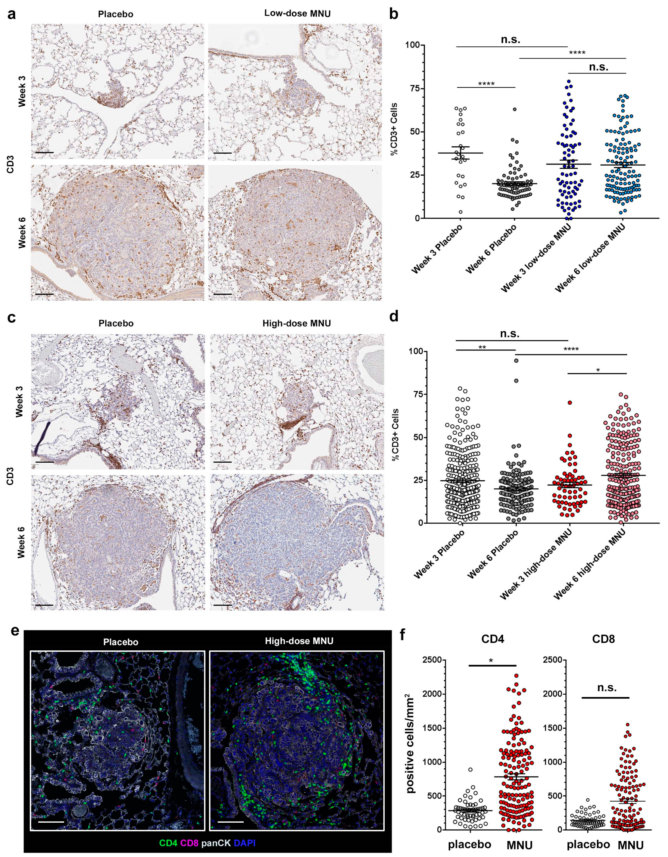 Cancers 13 03595 g002