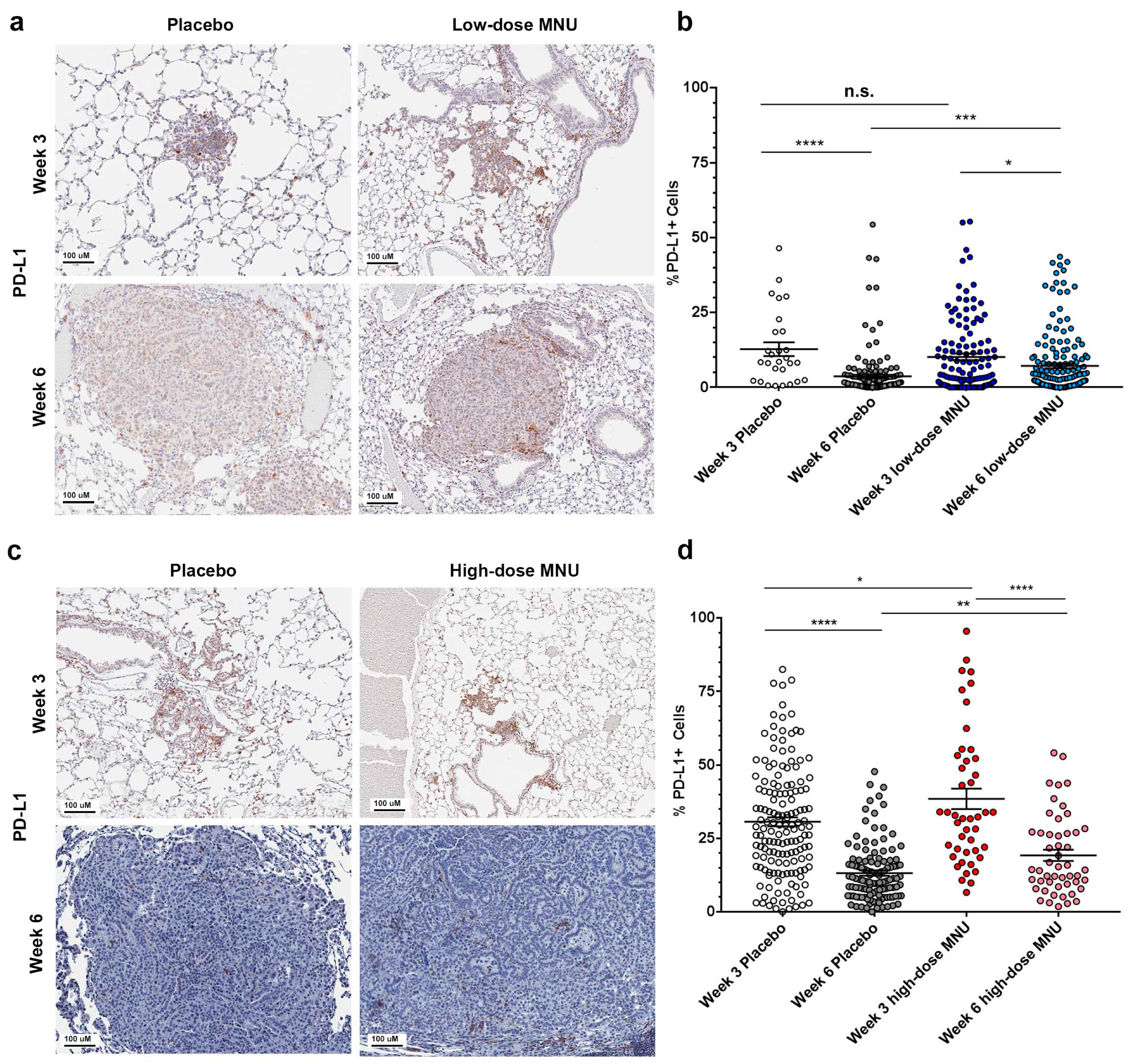 Cancers 13 03595 g003