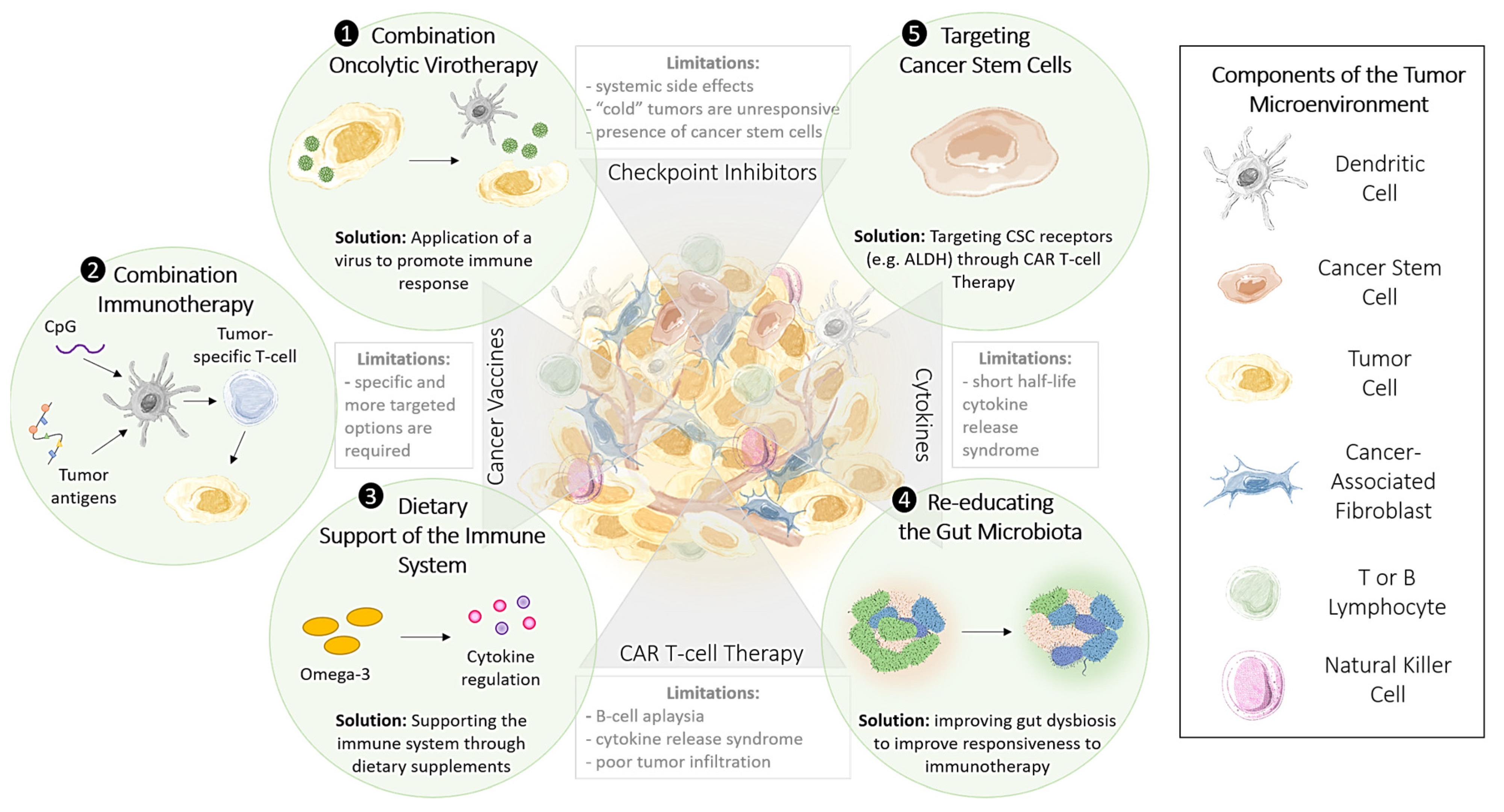 Cancers 13 03596 g002