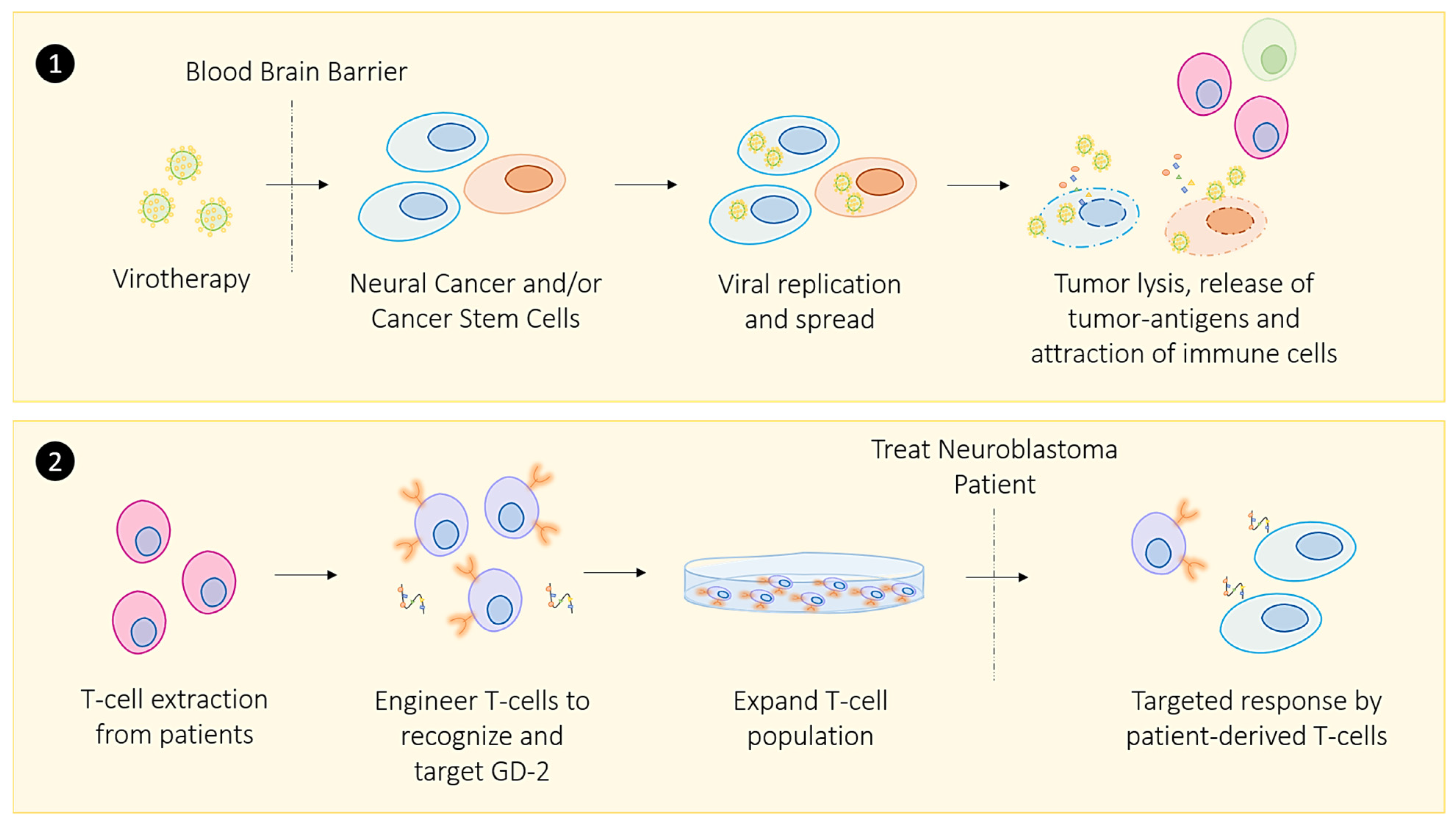 Cancers 13 03596 g003