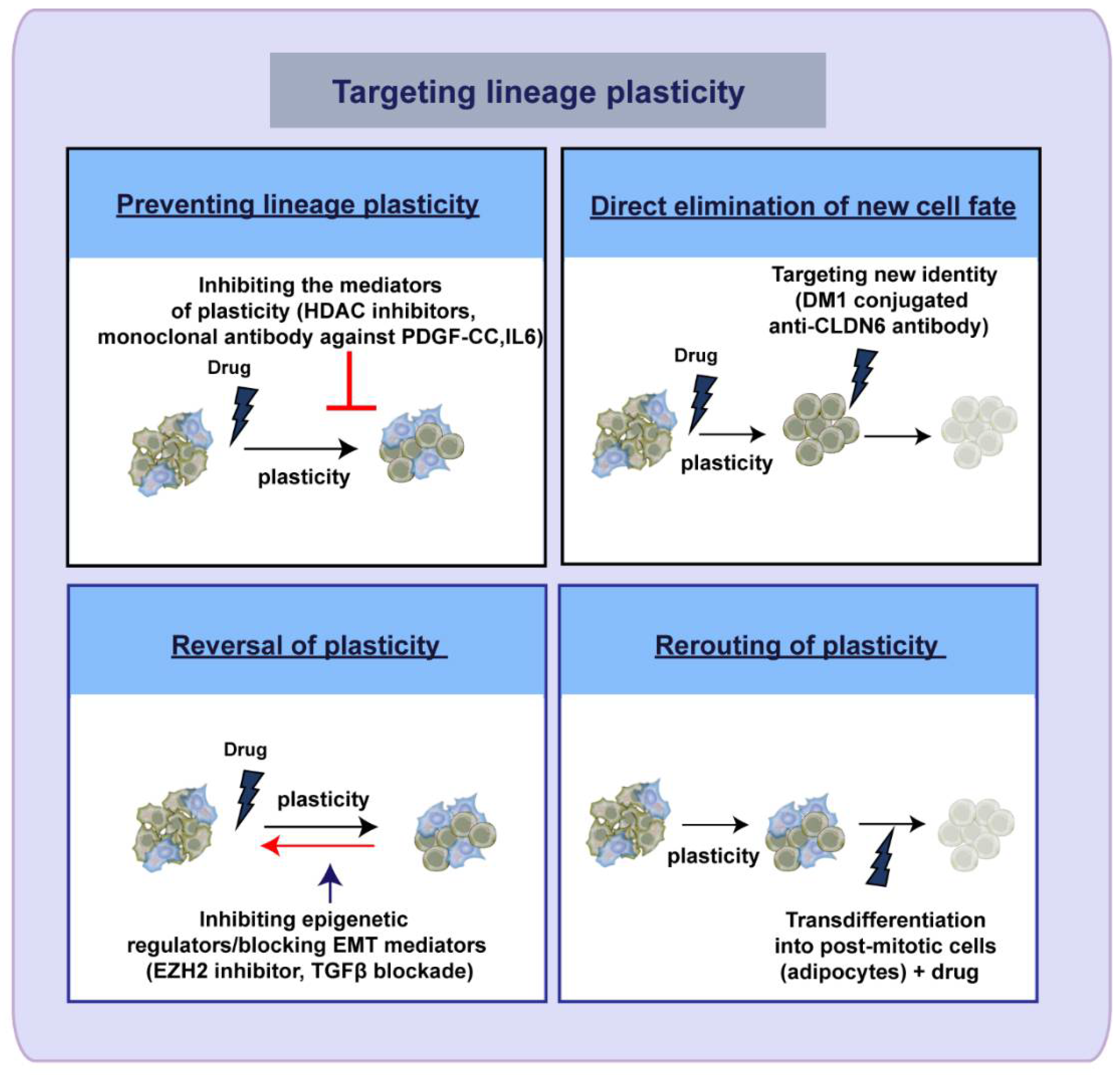 Cancers 13 03602 g003