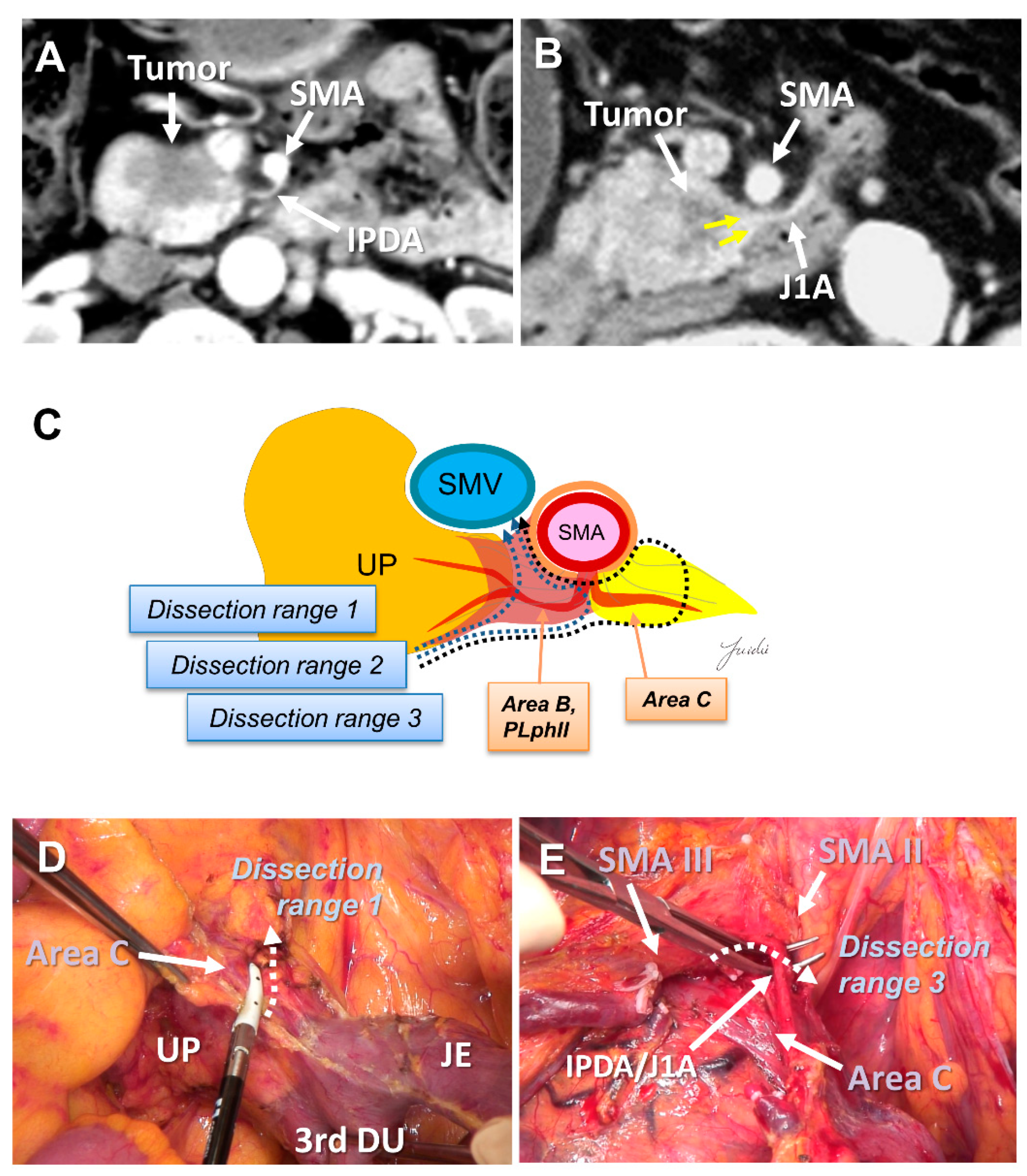 Cancers 13 03605 g004