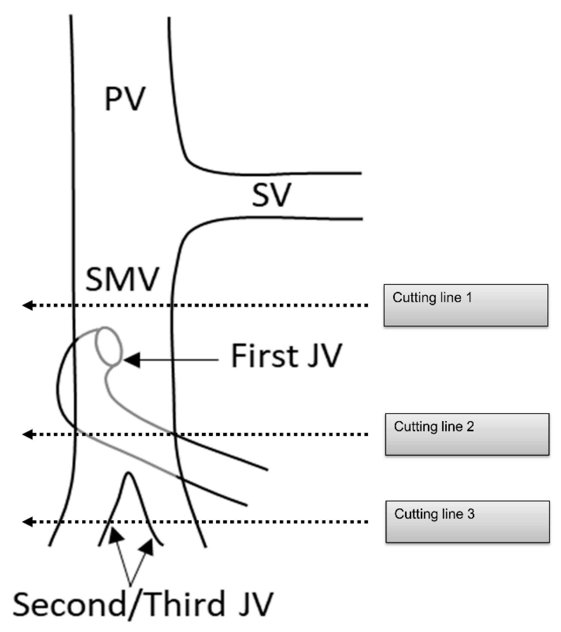 Cancers 13 03605 g006