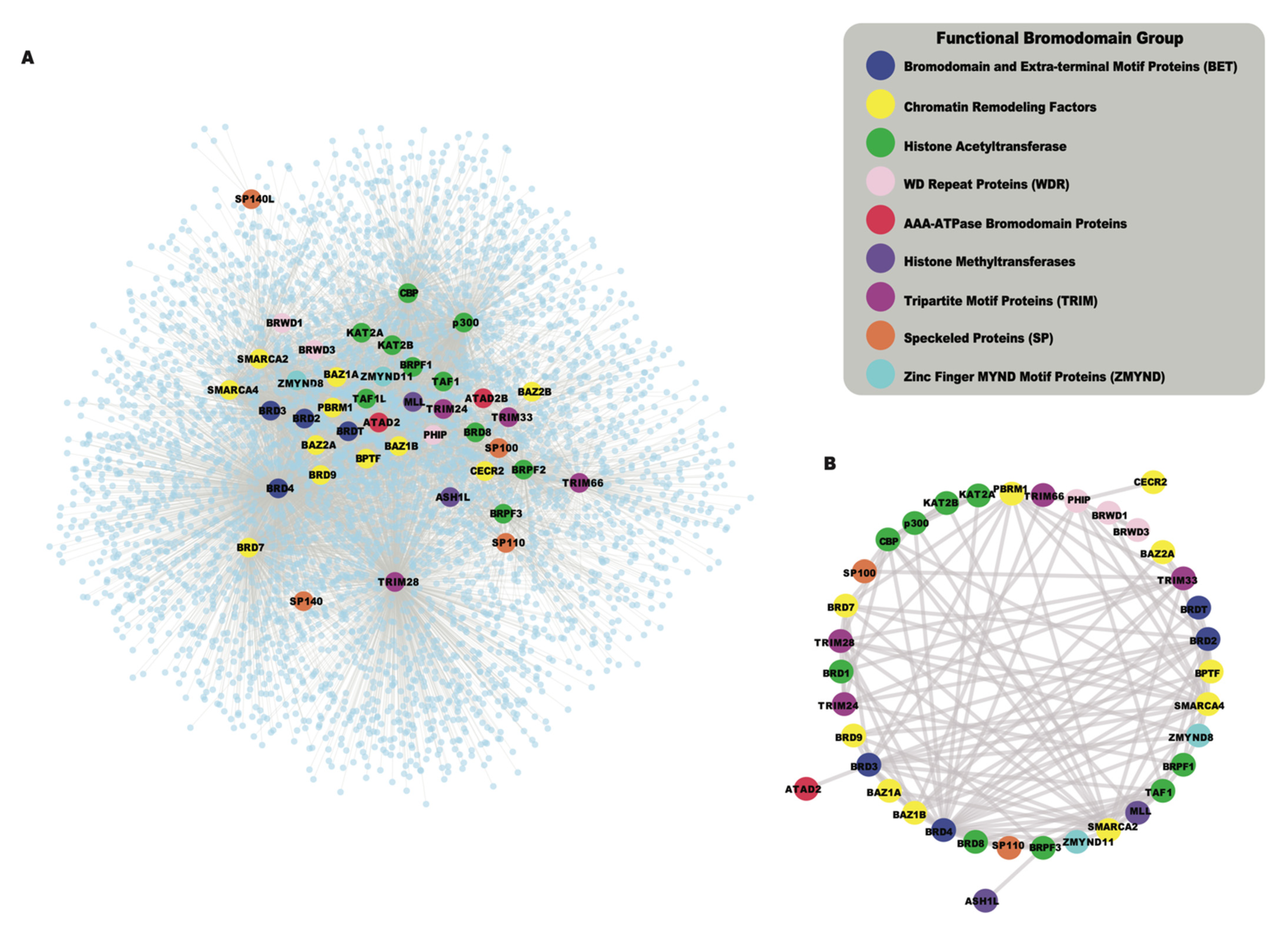 Cancers 13 03606 g004