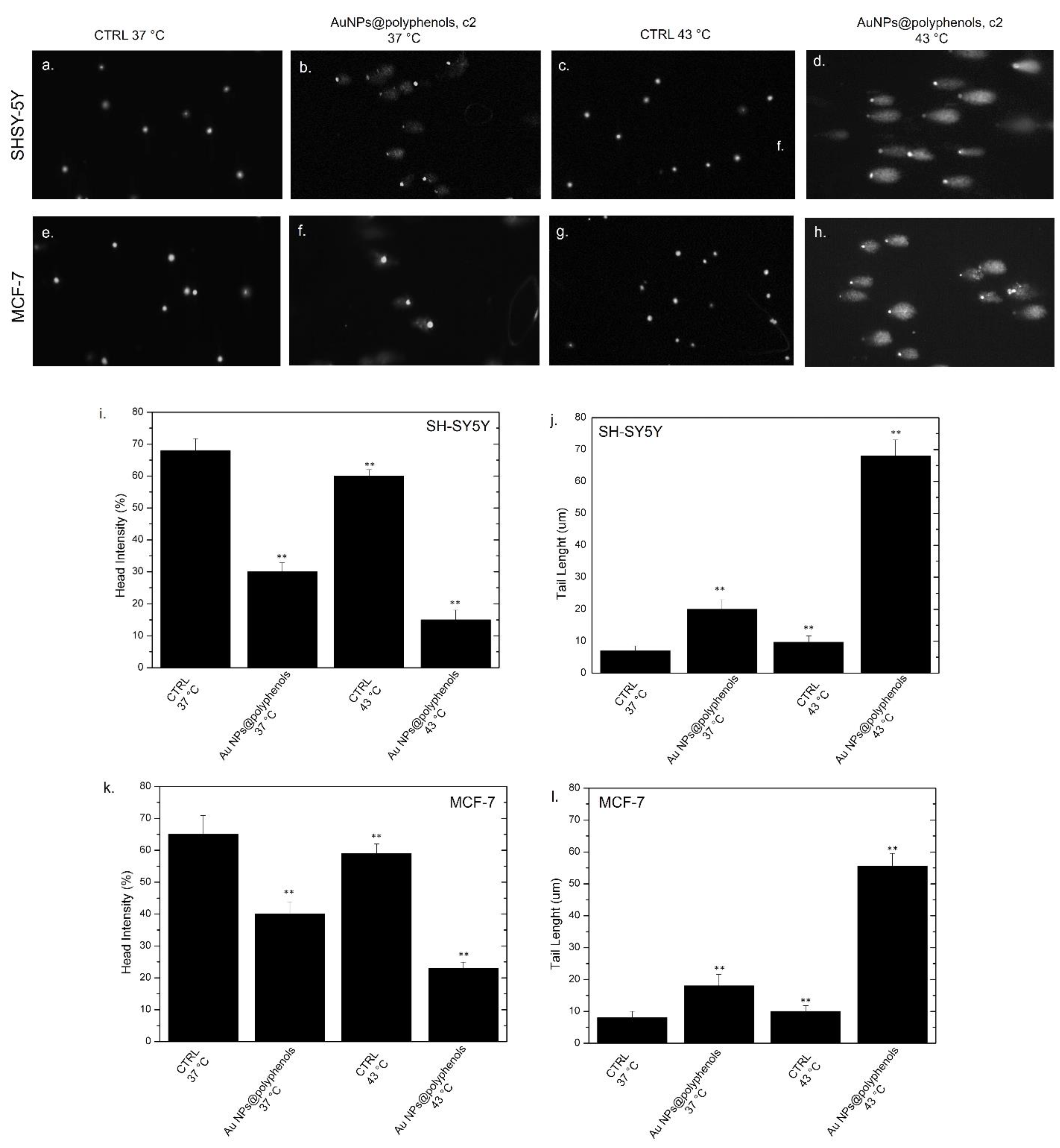 Cancers 13 03610 g010