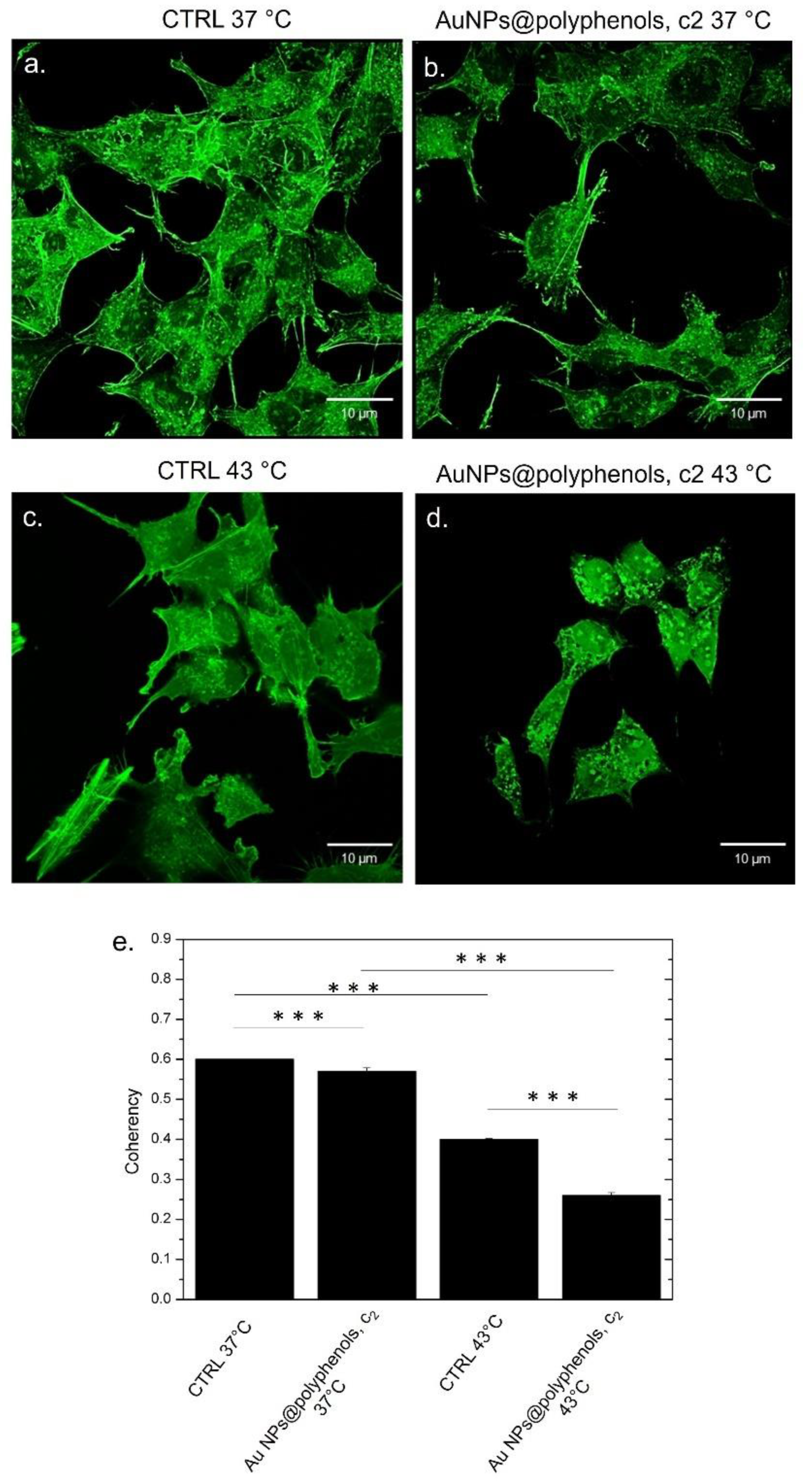 Cancers 13 03610 g011