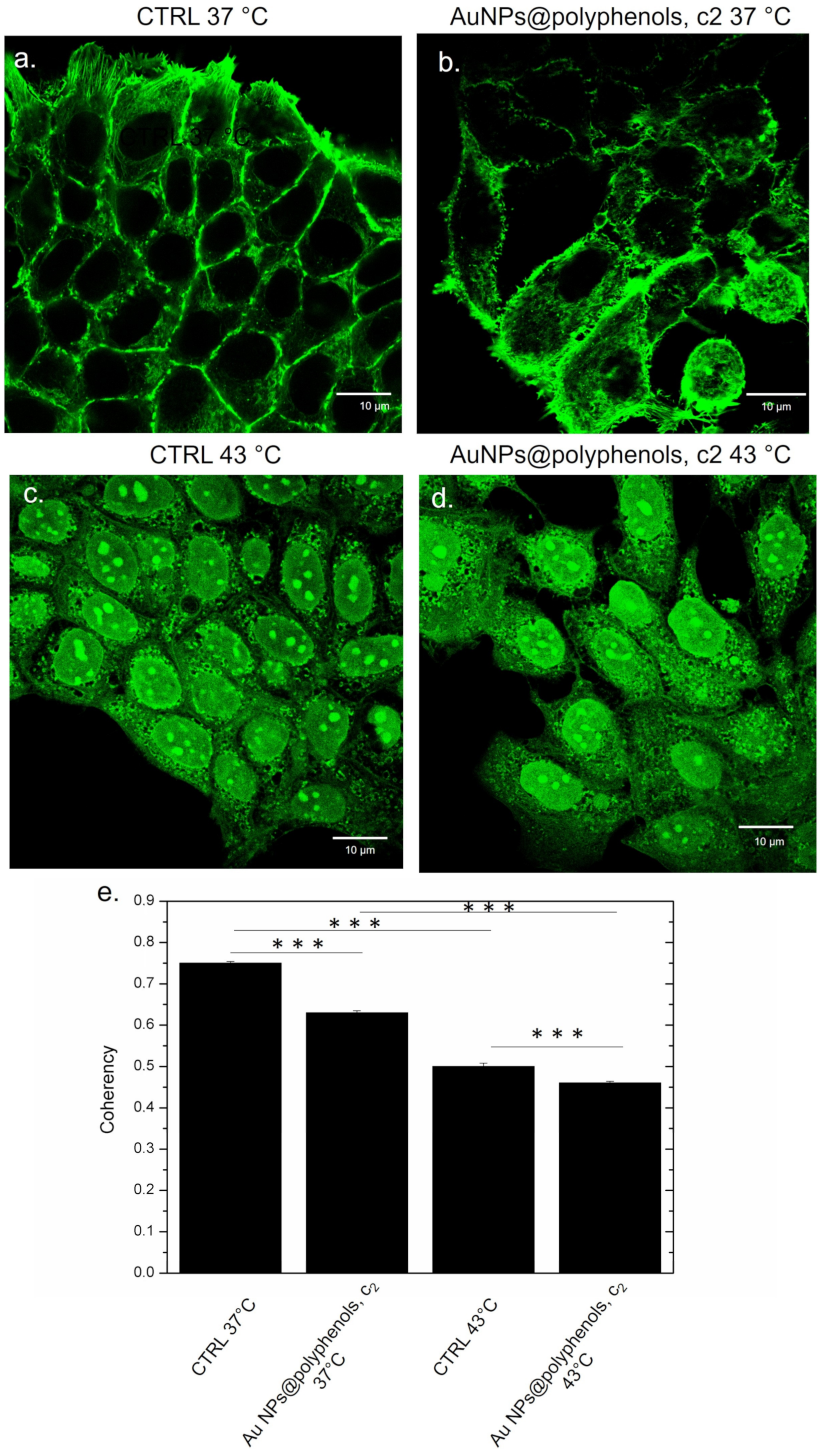 Cancers 13 03610 g012