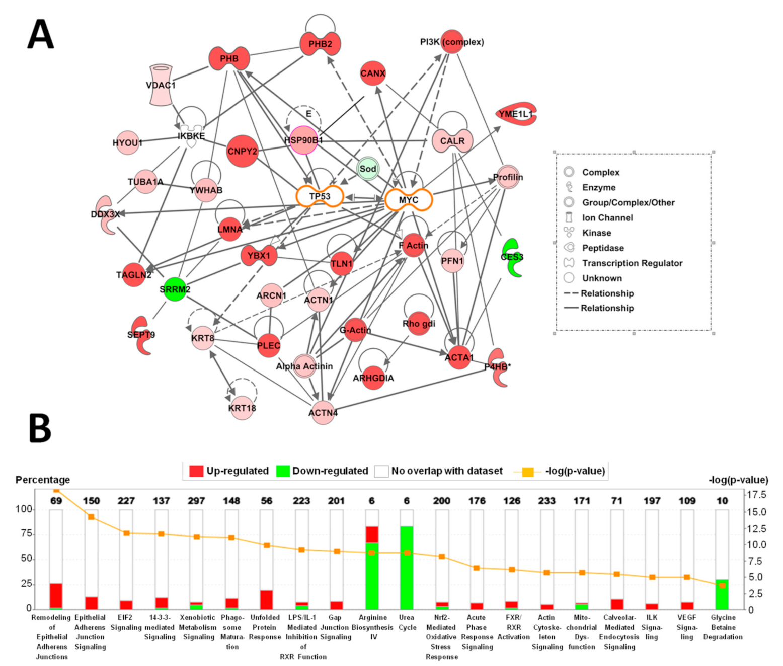 Cancers 13 03613 g001