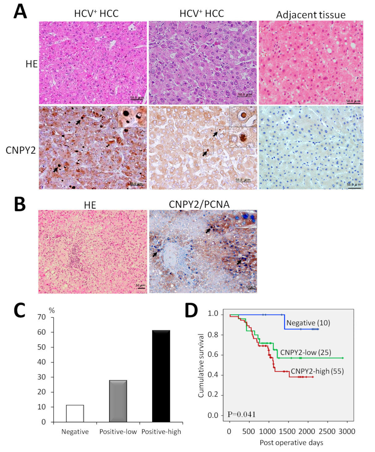 Cancers 13 03613 g004