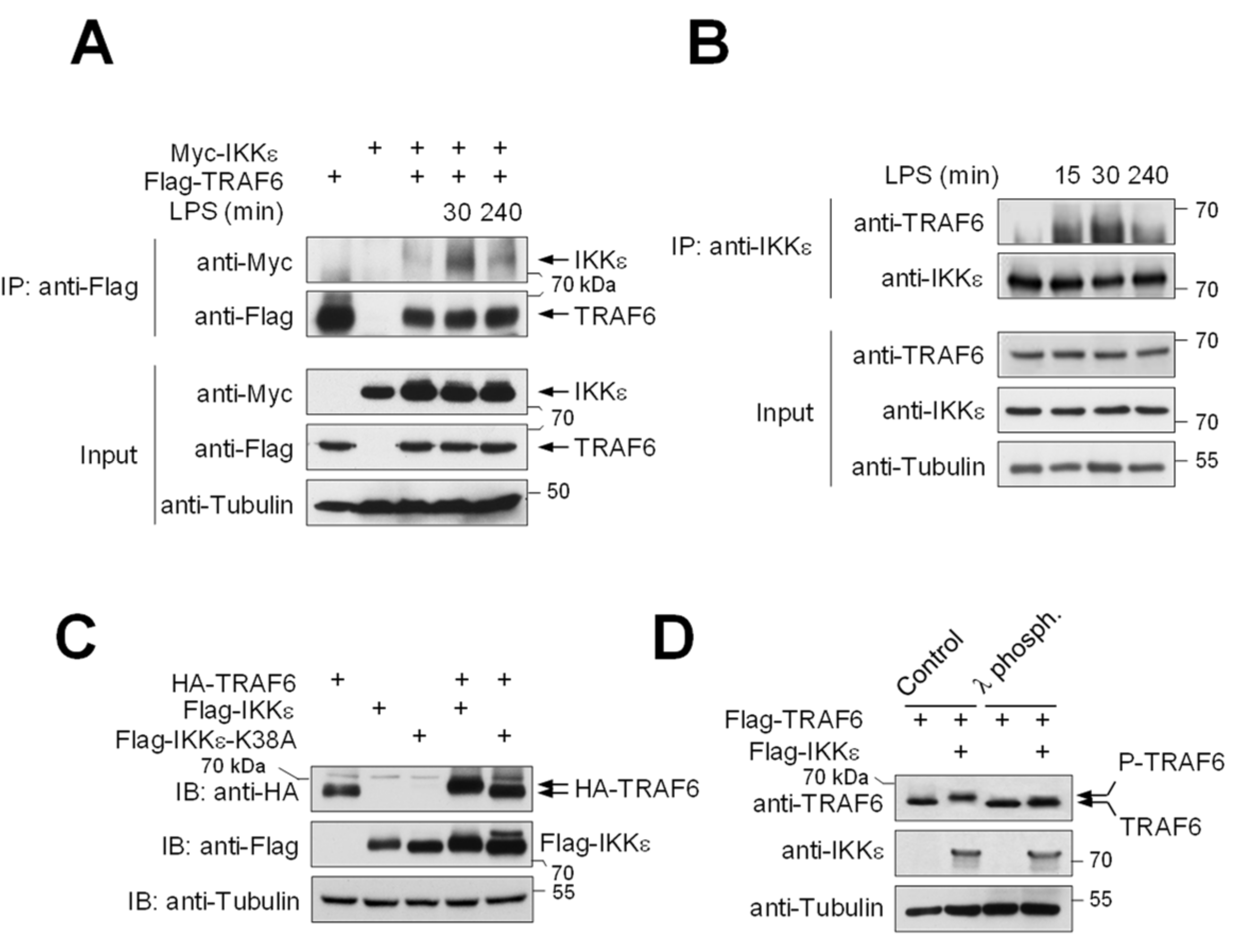 Cancers 13 03618 g001