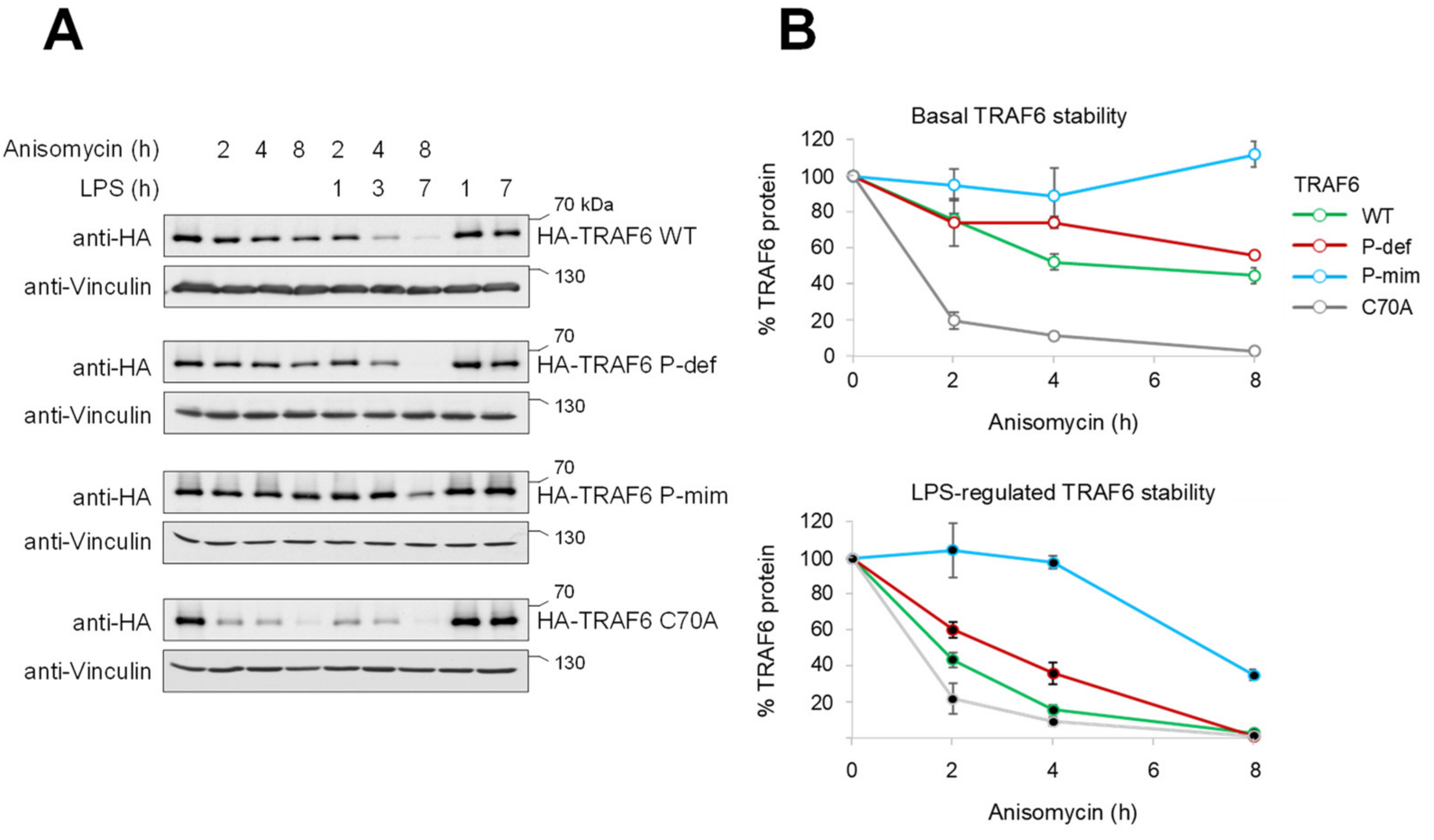 Cancers 13 03618 g004