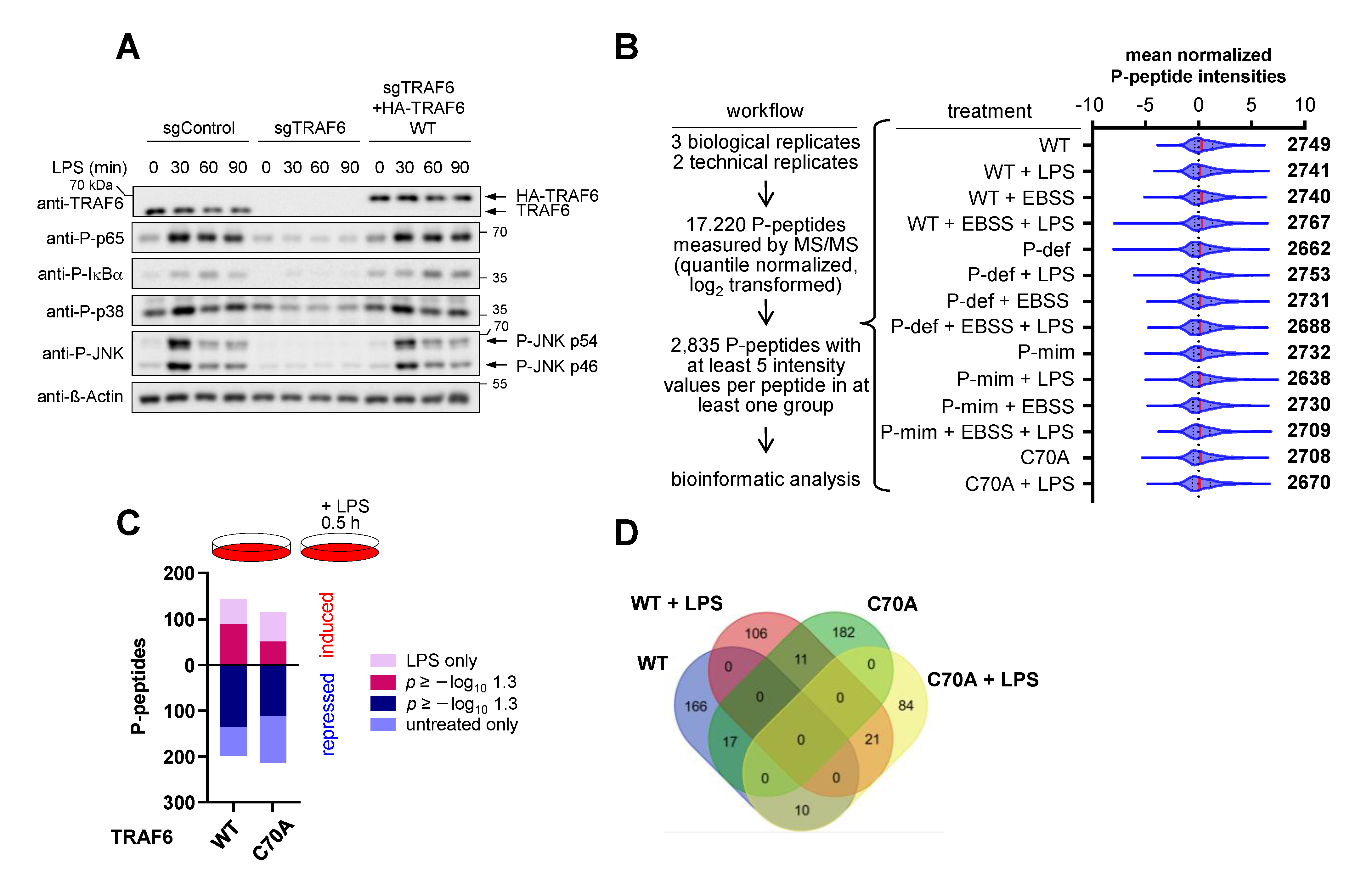 Cancers 13 03618 g006