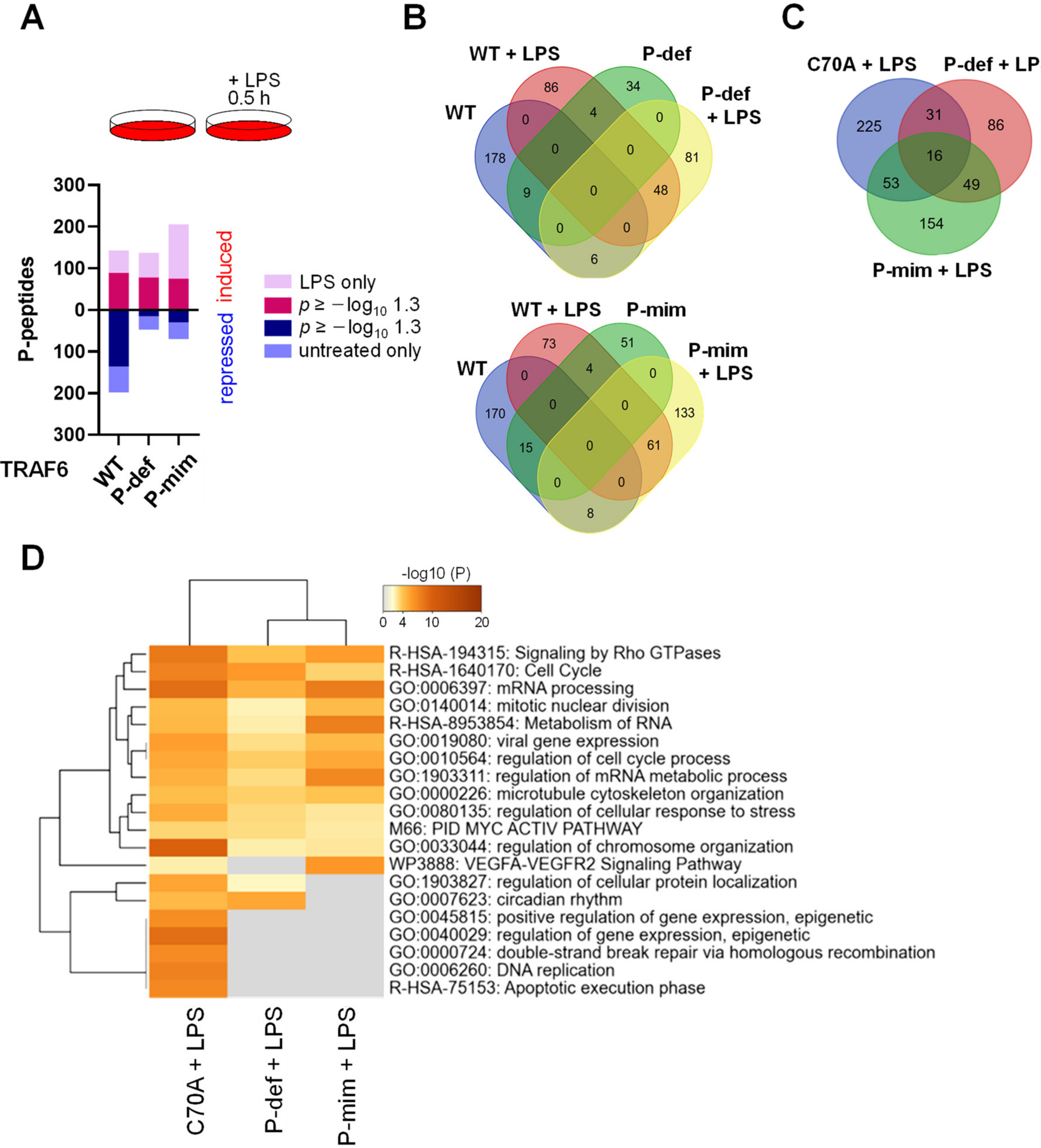 Cancers 13 03618 g007