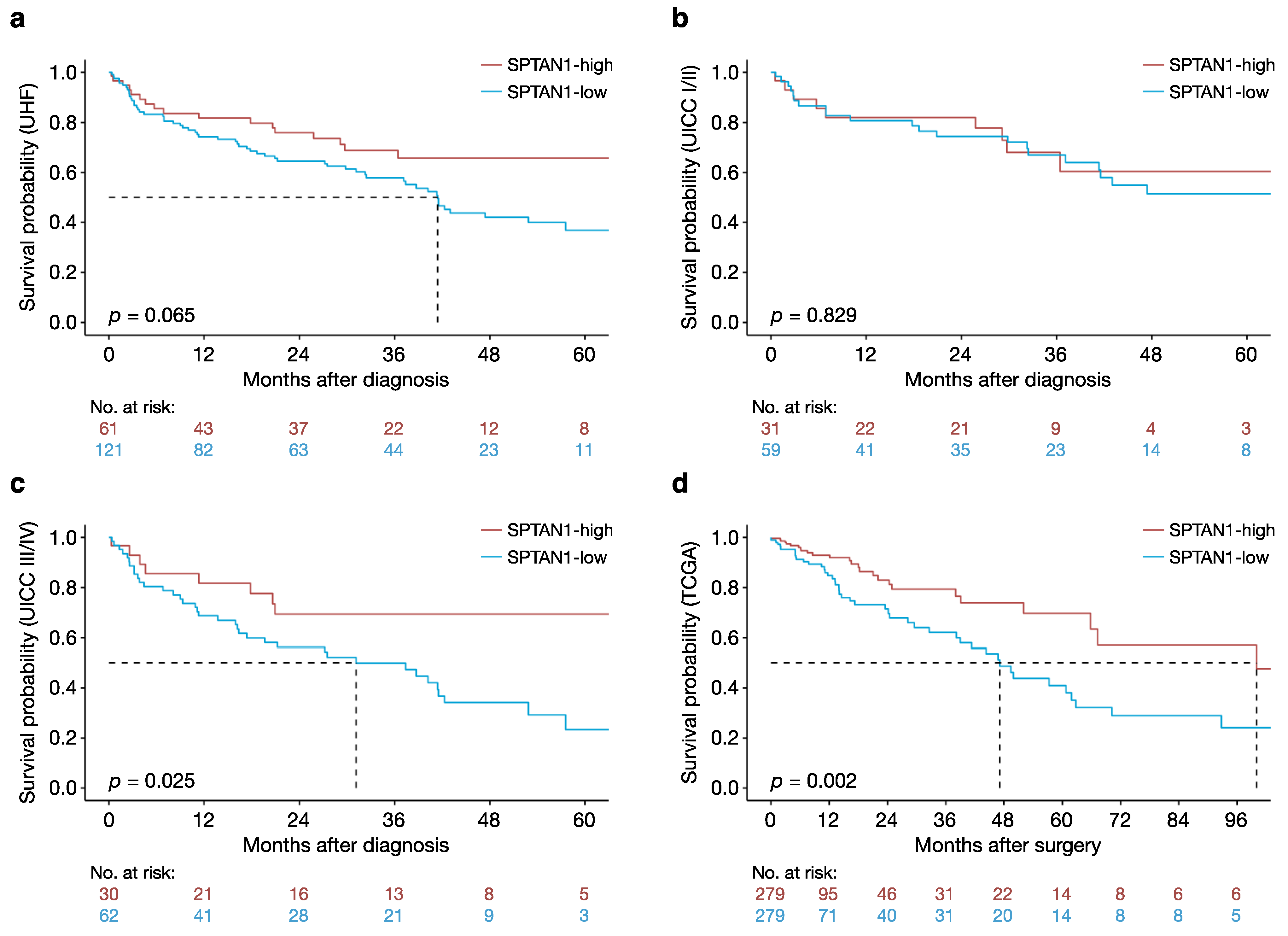 Cancers 13 03638 g001