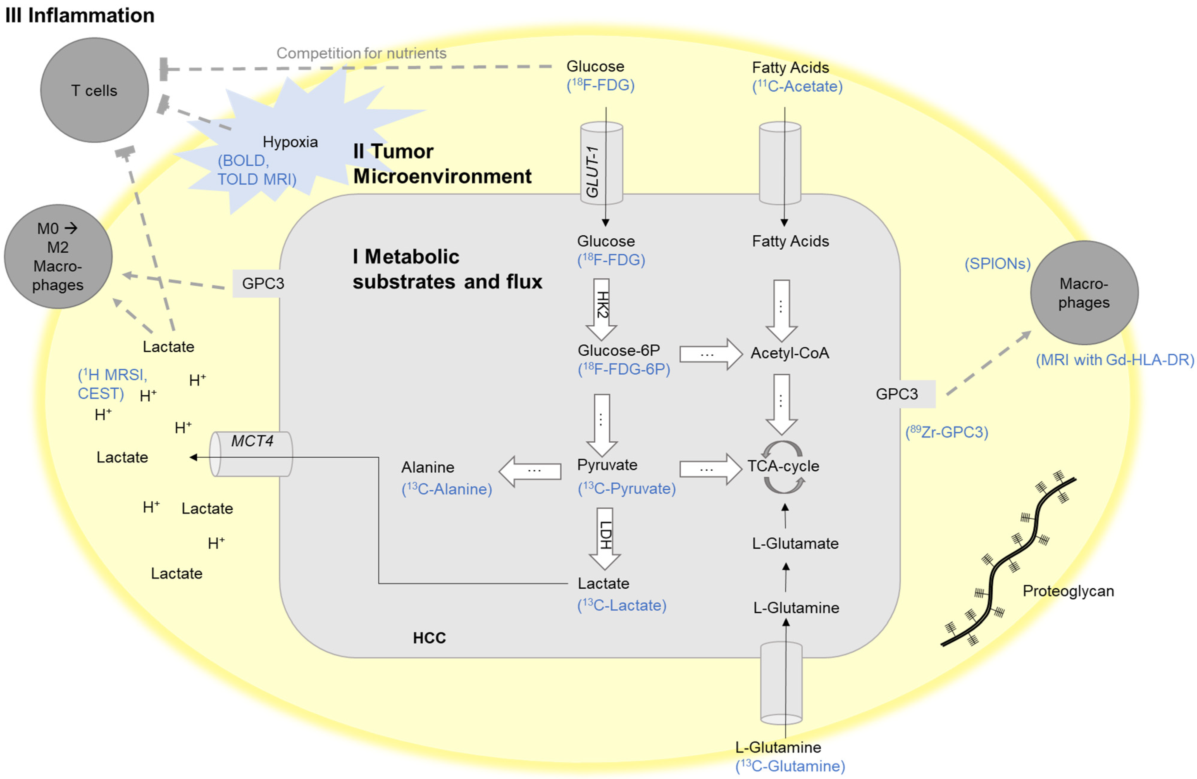 Cancers 13 03645 g001