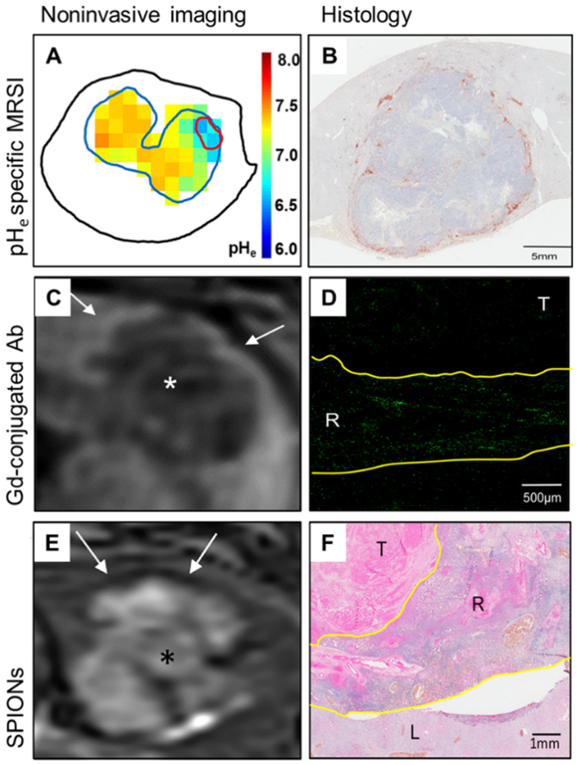 Cancers 13 03645 g002