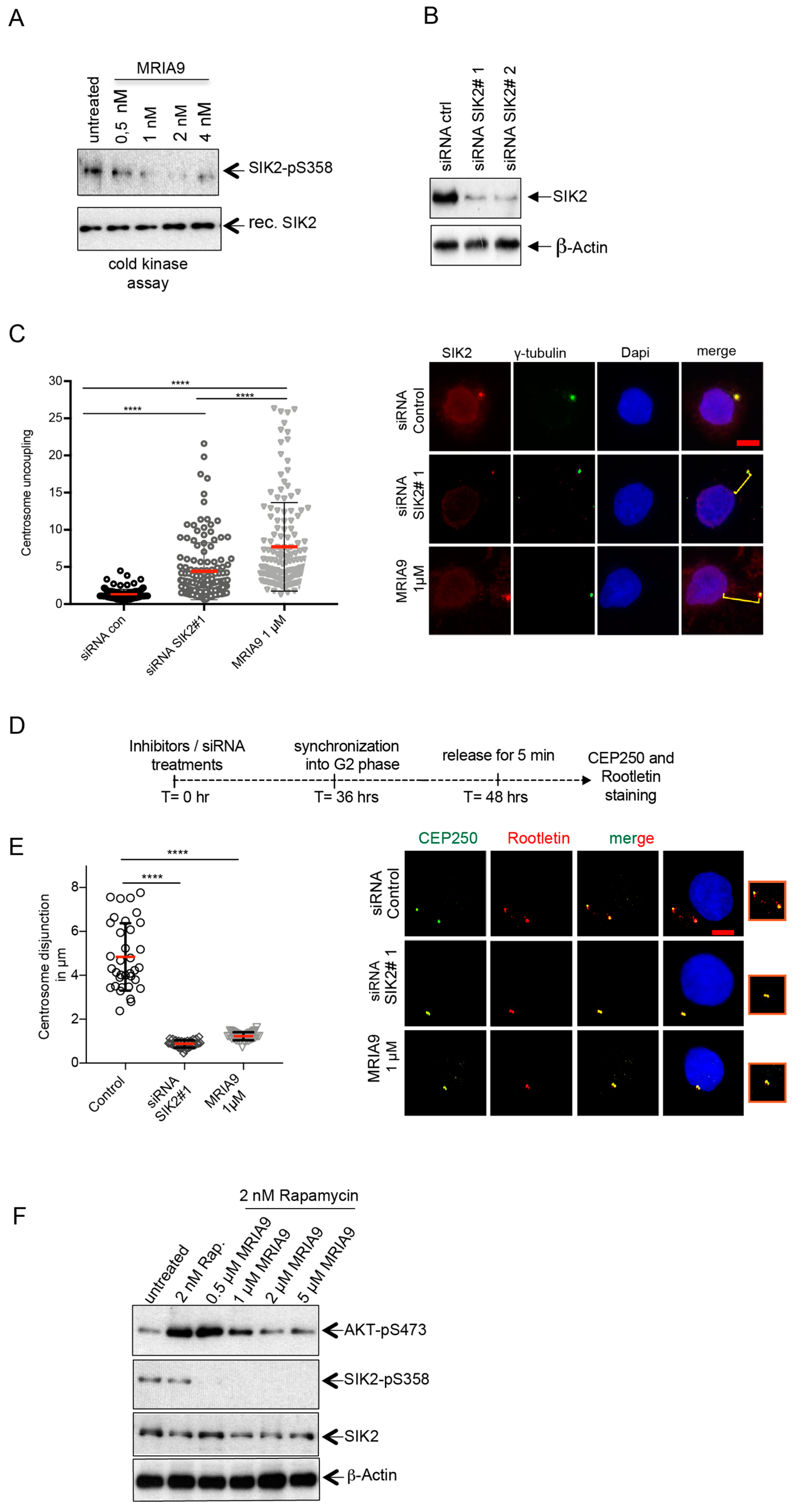 Cancers 13 03658 g001