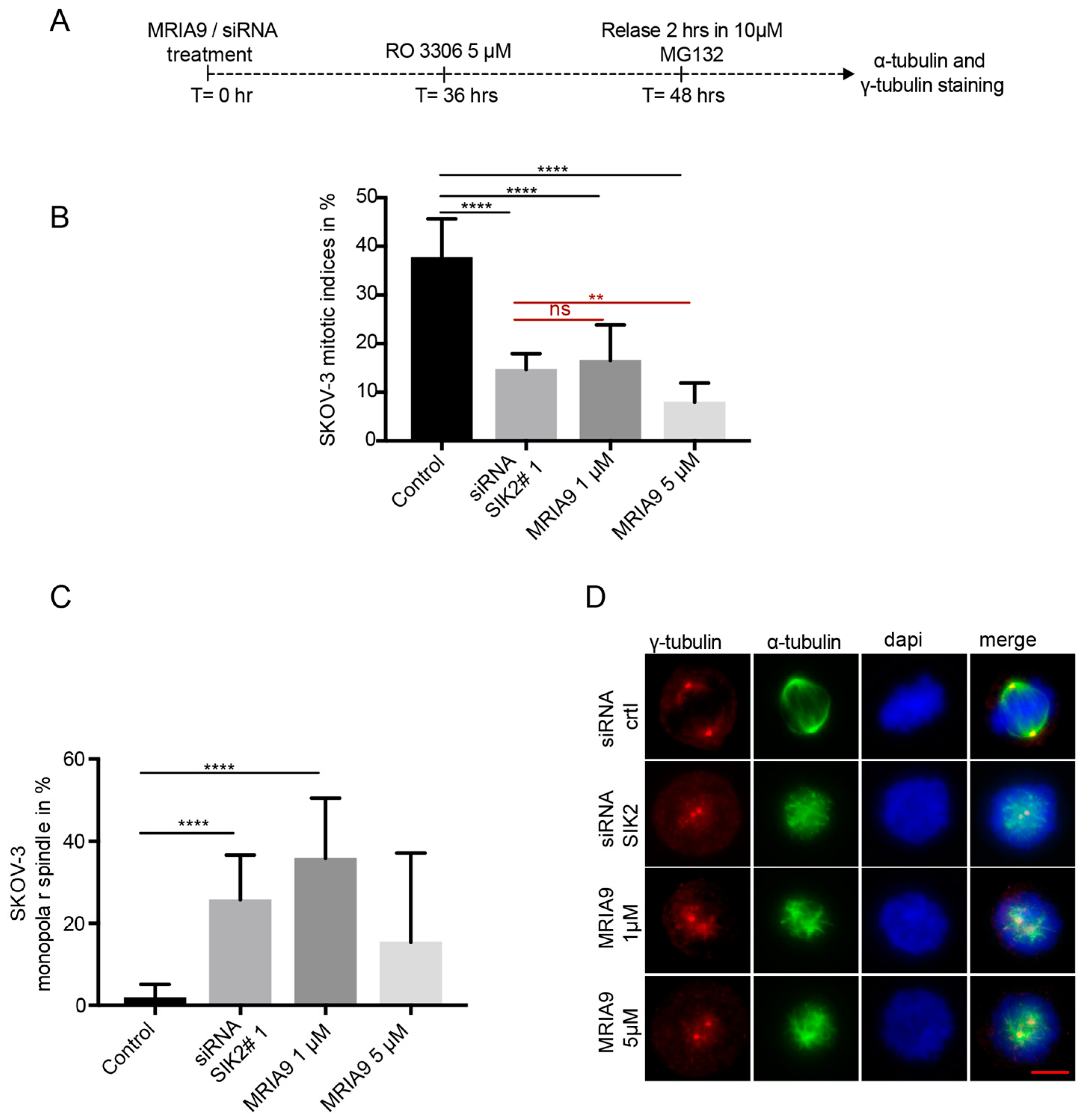 Cancers 13 03658 g002