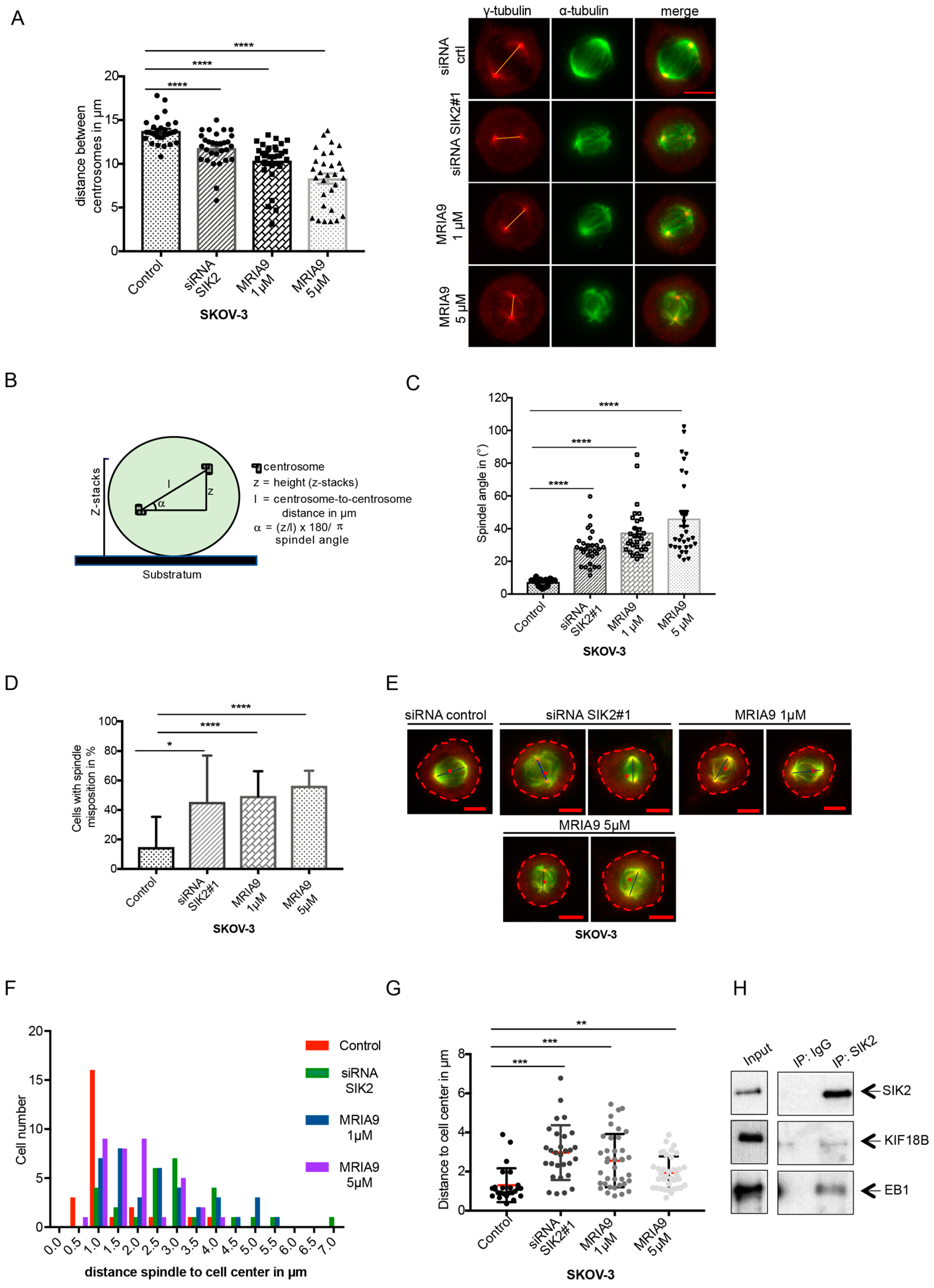 Cancers 13 03658 g003
