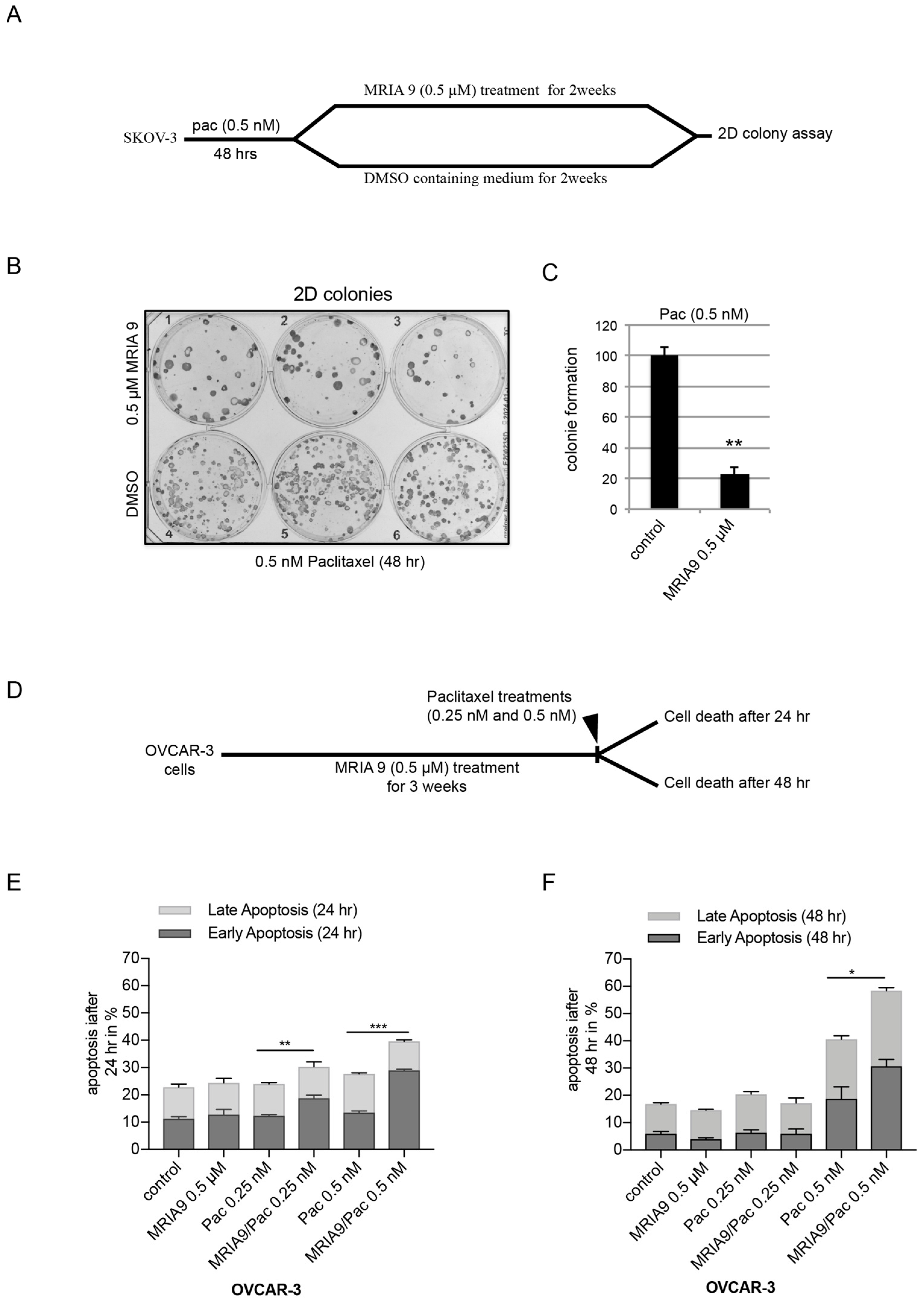Cancers 13 03658 g005