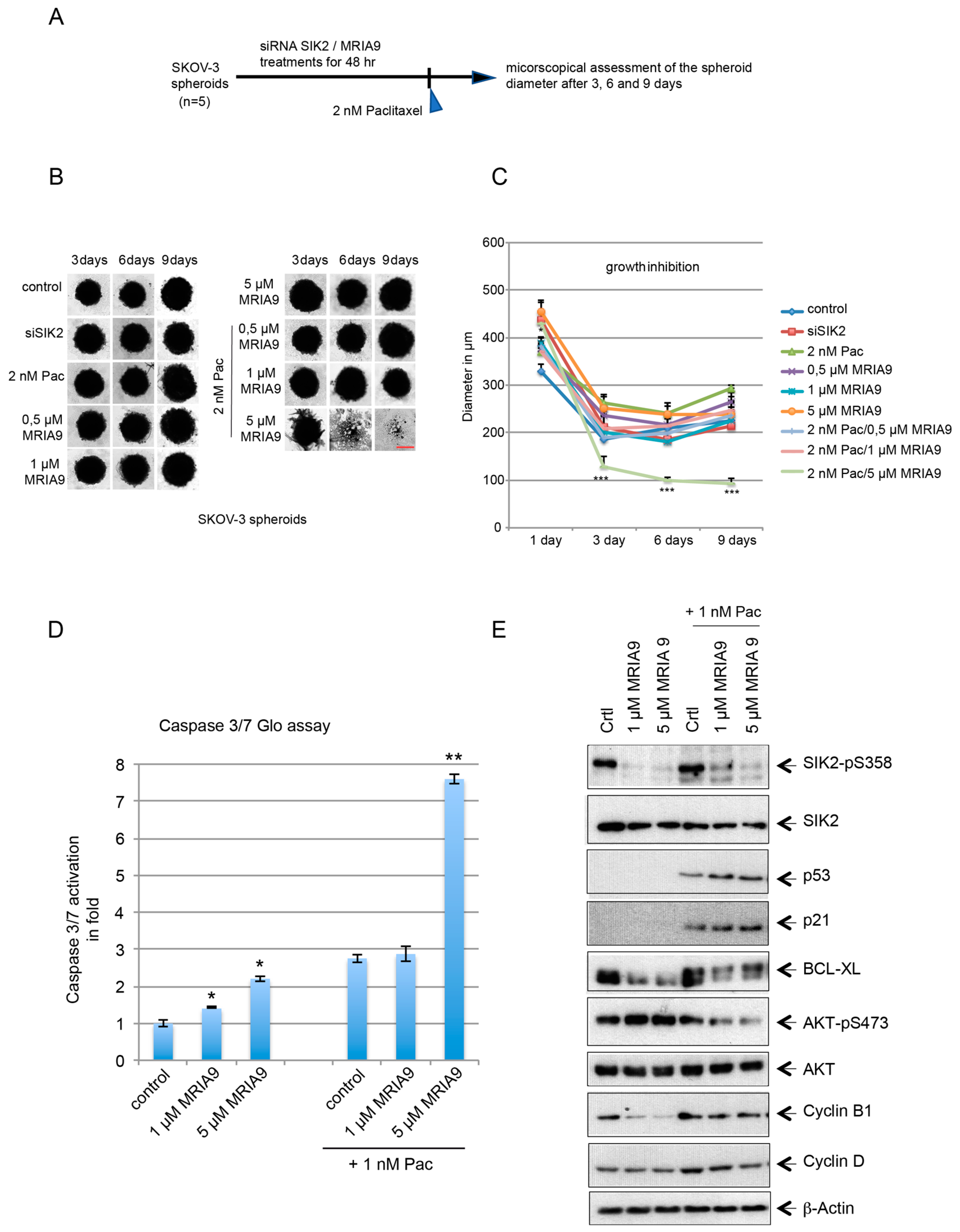 Cancers 13 03658 g006