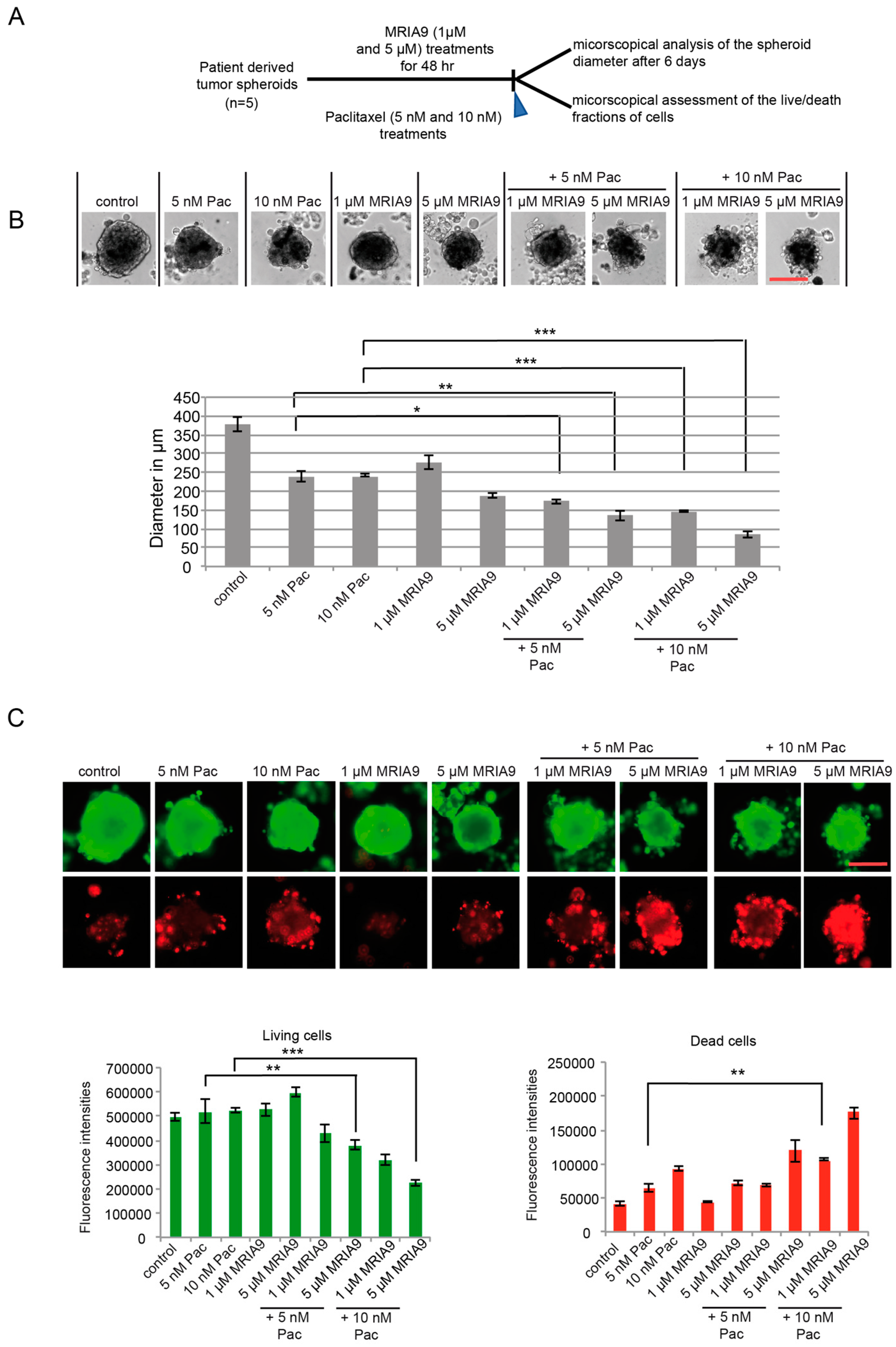 Cancers 13 03658 g007