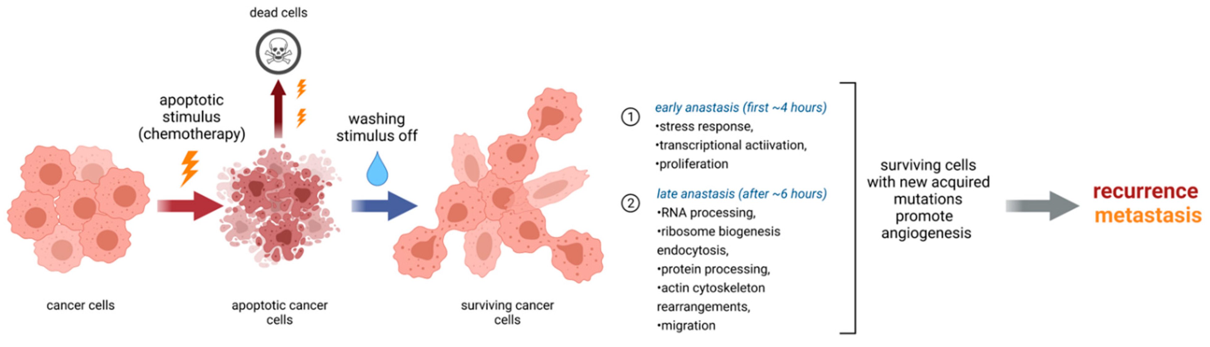 Cancers 13 03671 g002