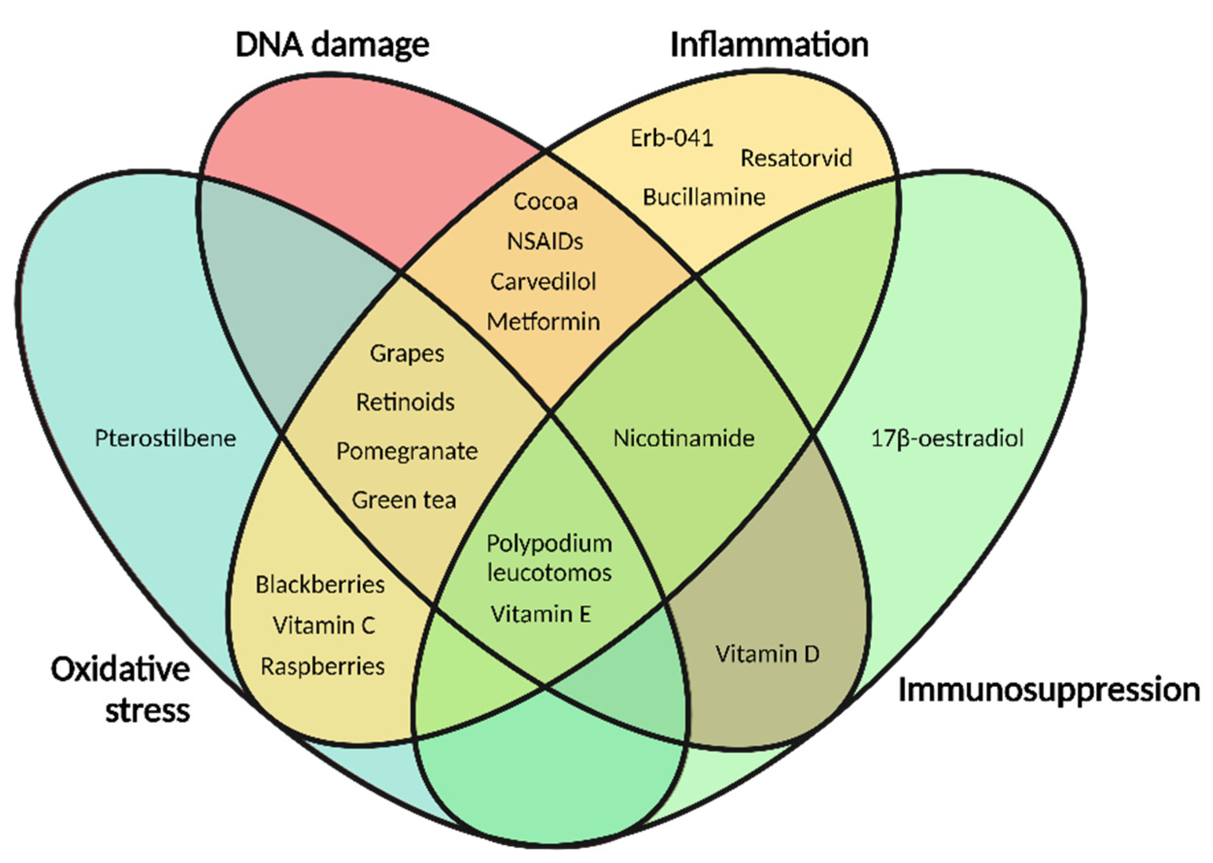Cancers 13 03684 g003
