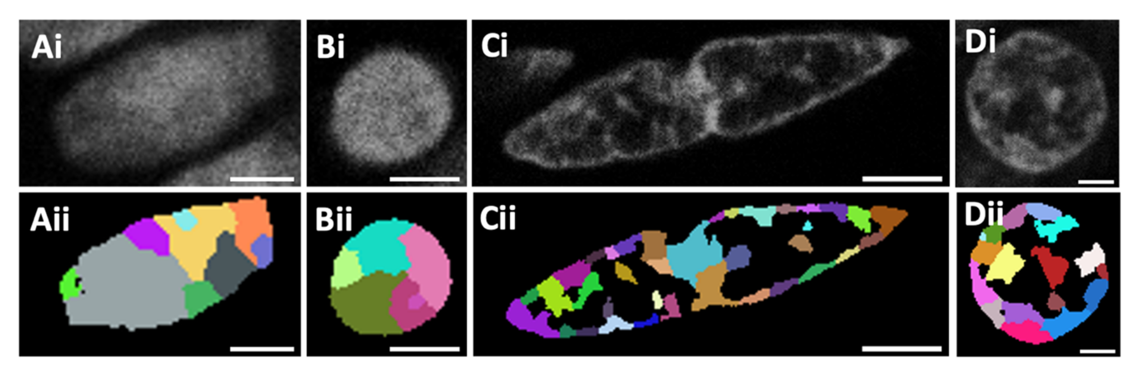 Cancers 13 03692 g001