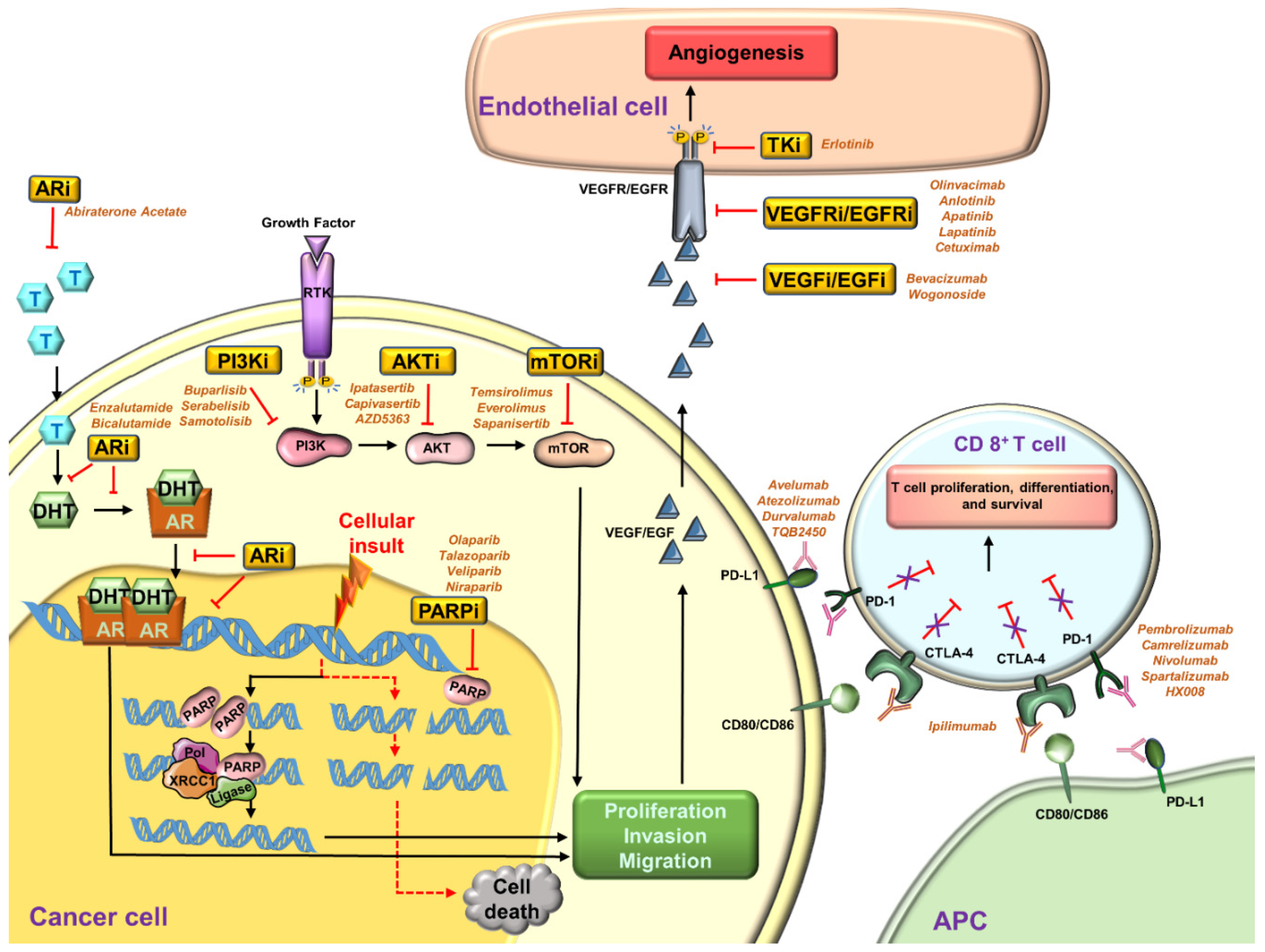 Cancers 13 03697 g001