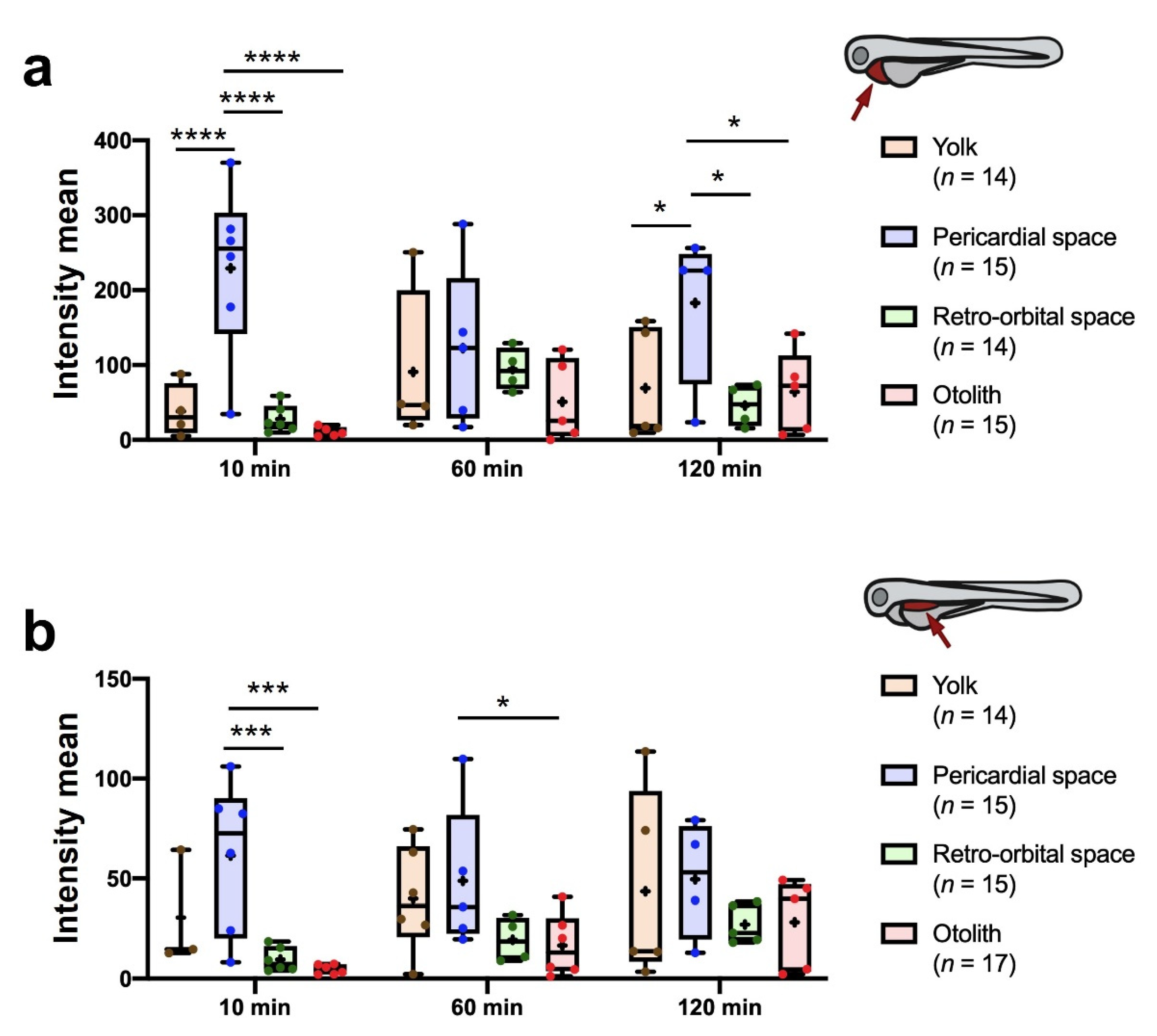 Cancers 13 03705 g005