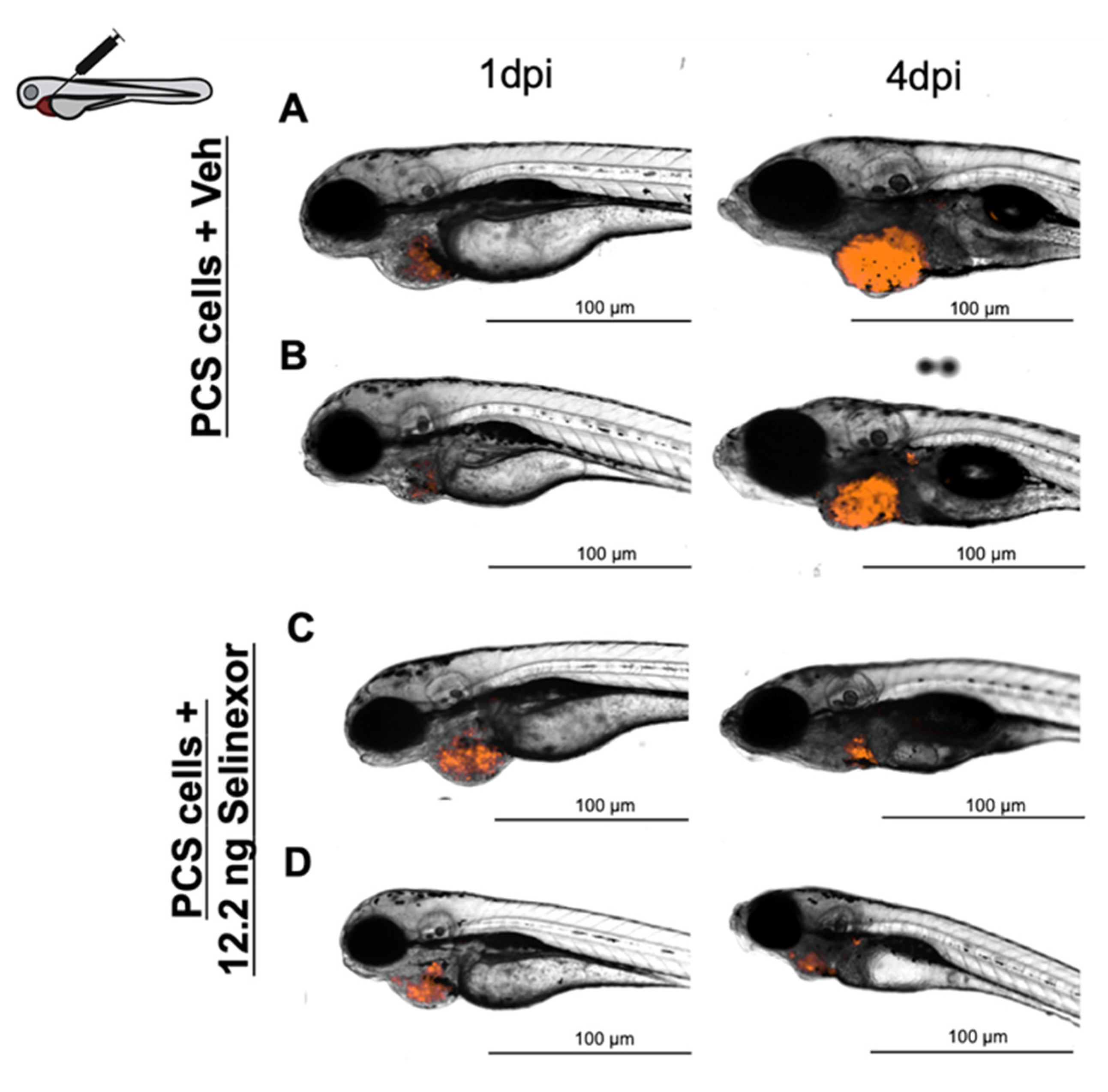 Cancers 13 03705 g008