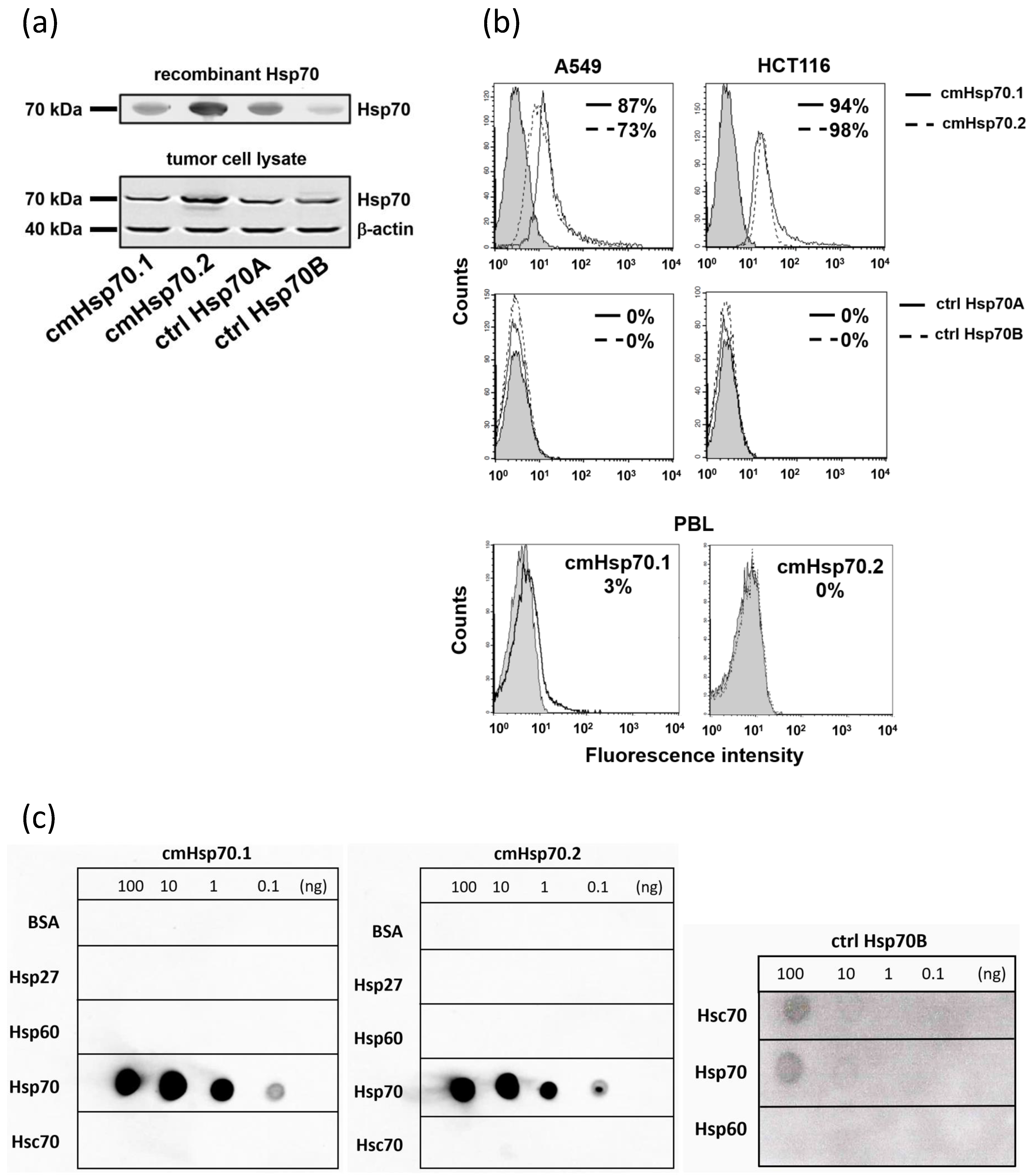 Cancers 13 03706 g002
