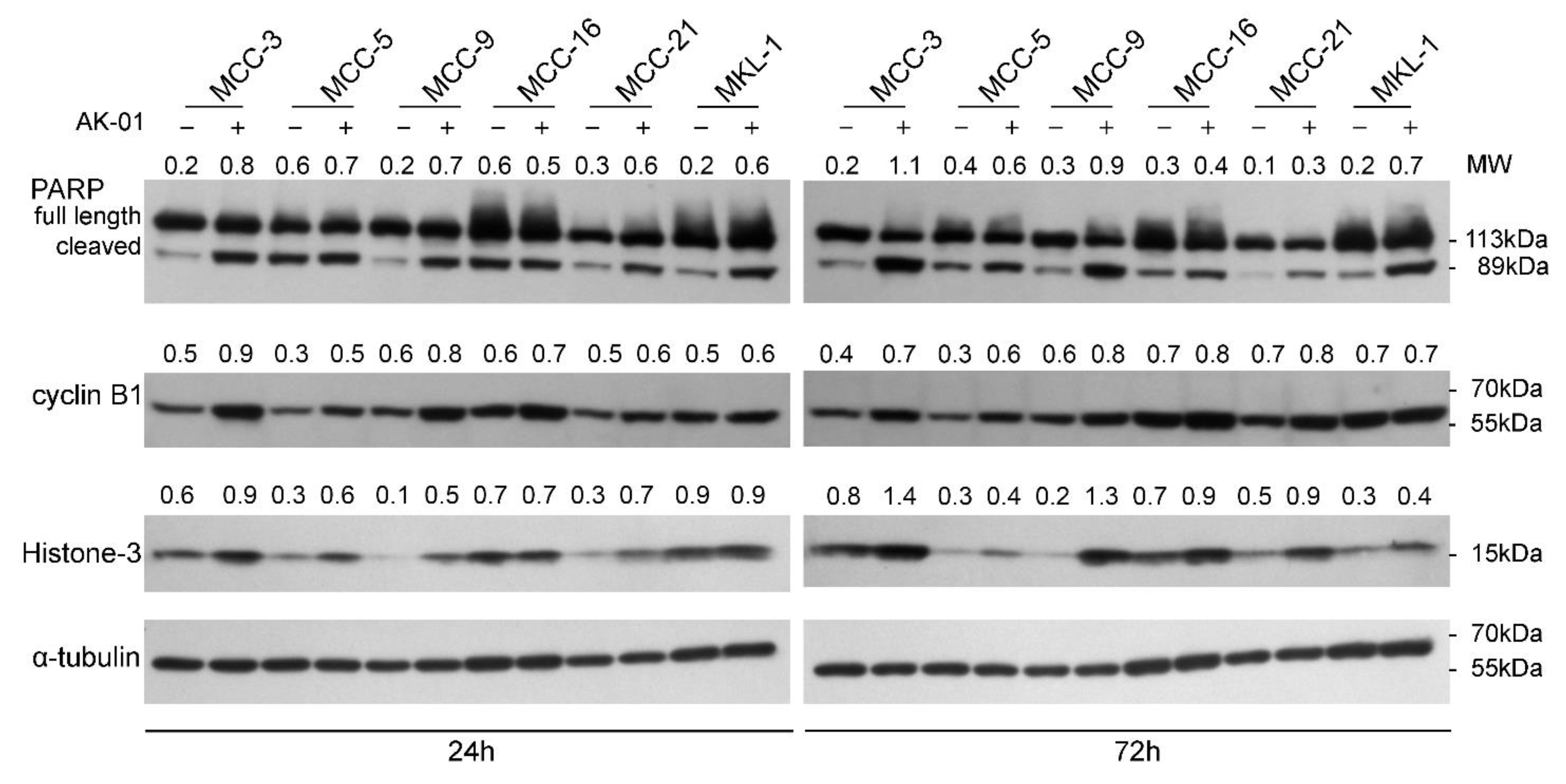 Cancers 13 03708 g002