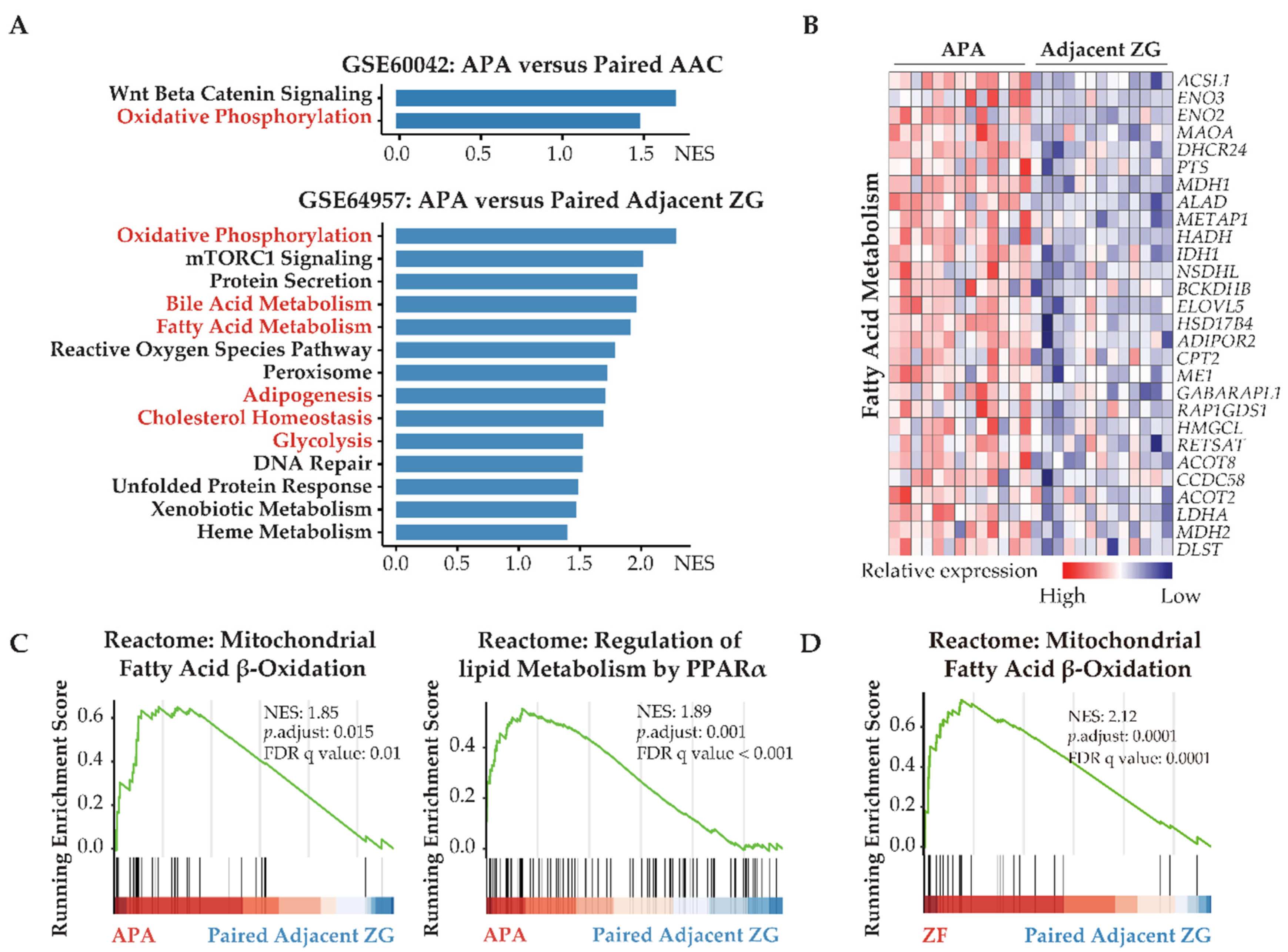 Cancers 13 03716 g001