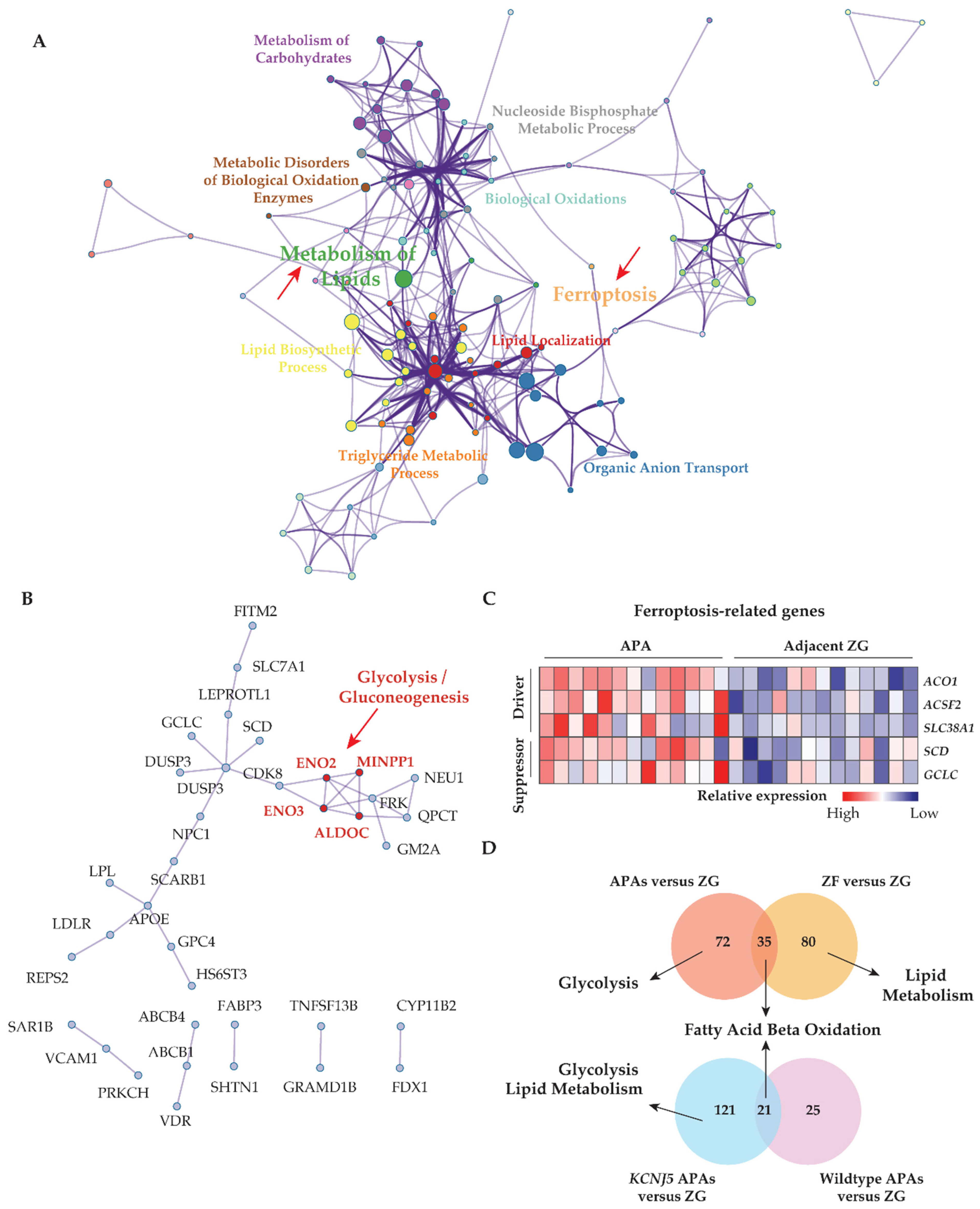 Cancers 13 03716 g002