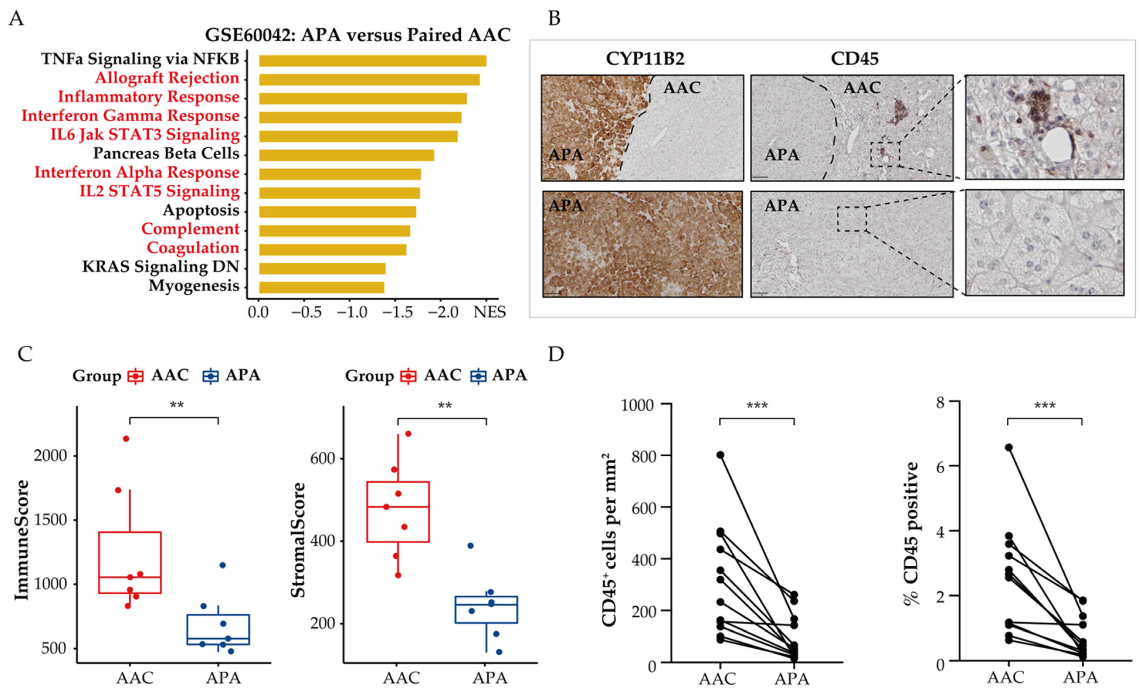 Cancers 13 03716 g004