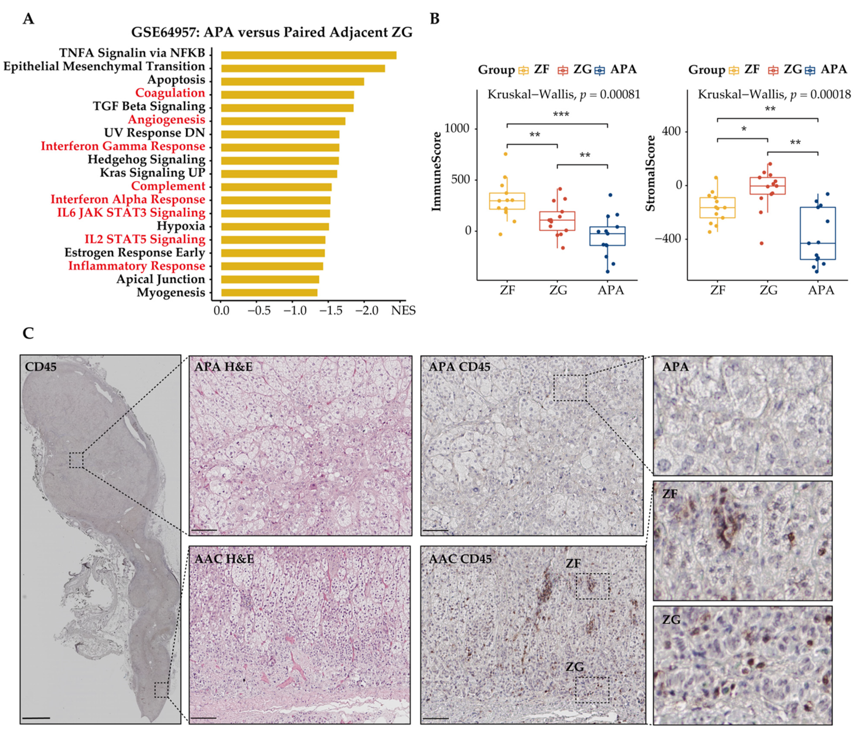 Cancers 13 03716 g005