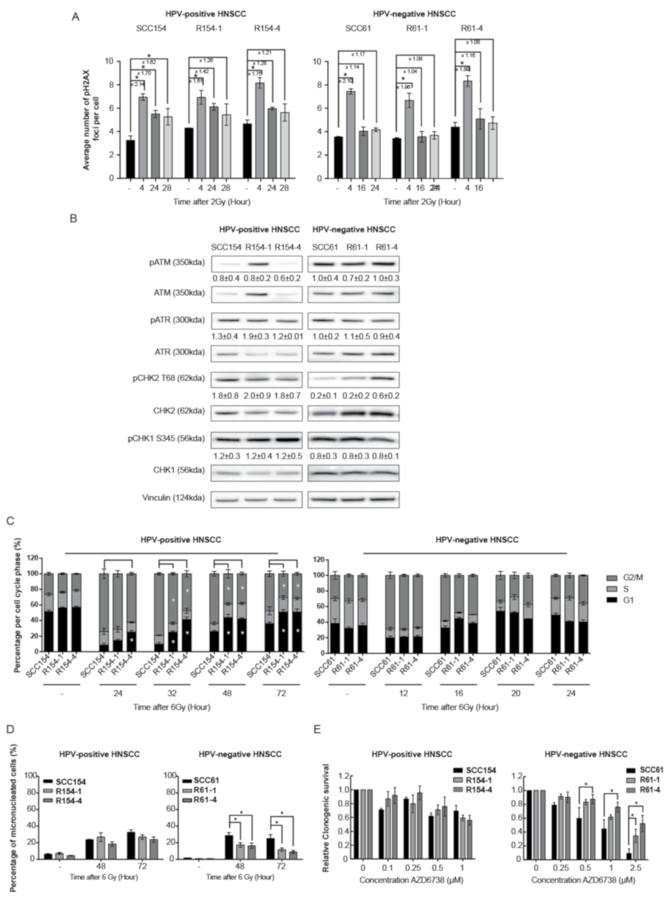Cancers 13 03717 g002