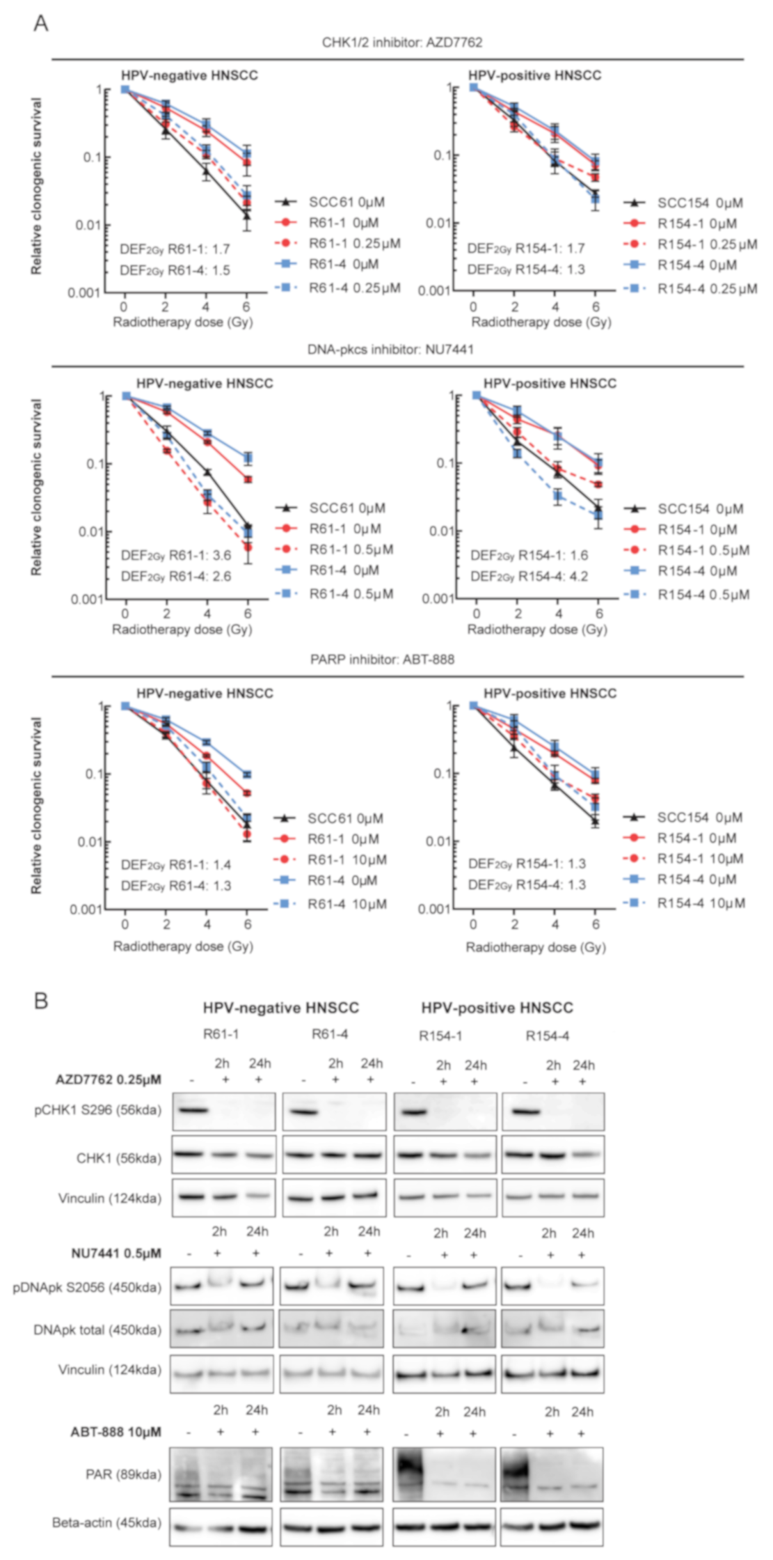 Cancers 13 03717 g003