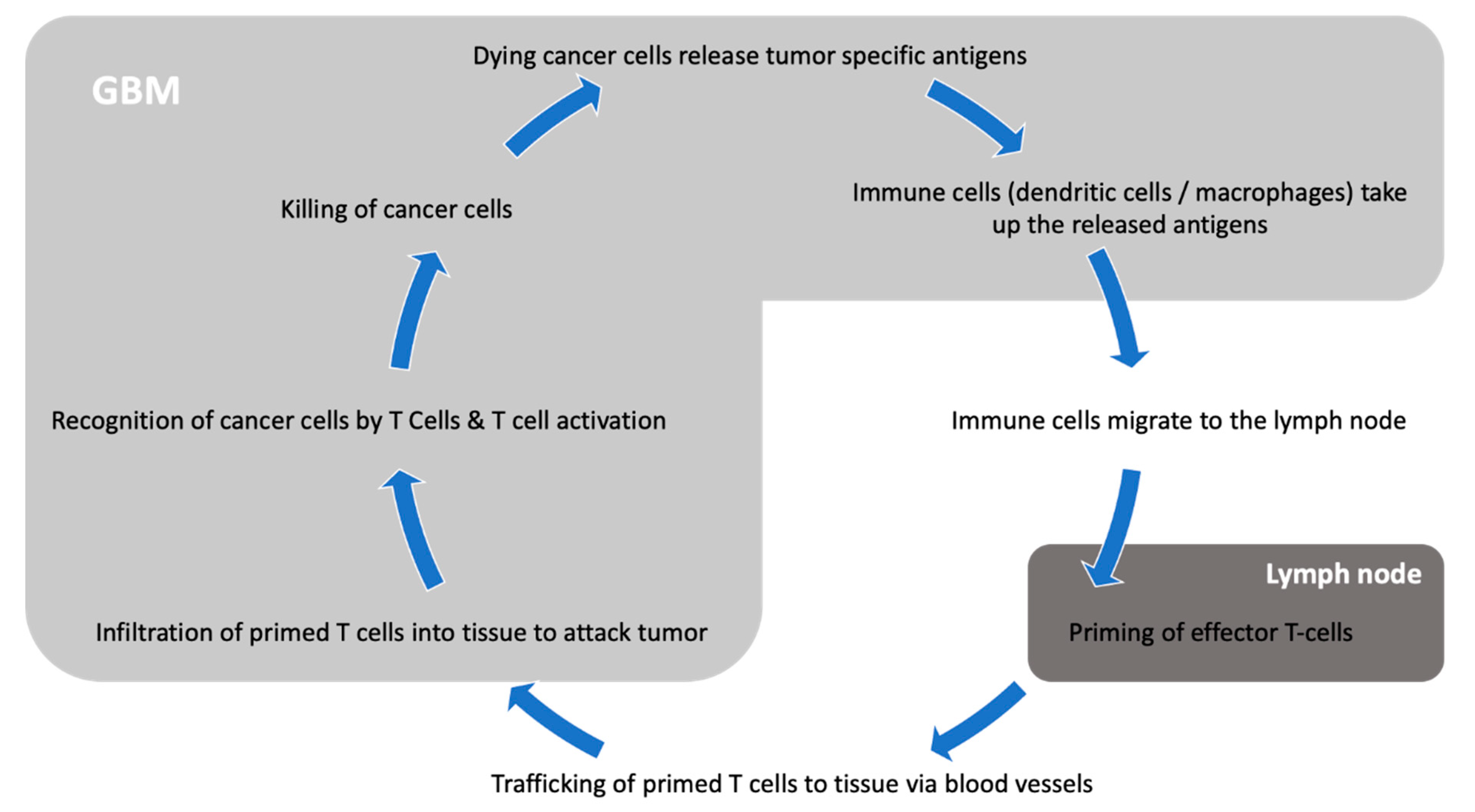 Cancers 13 03721 g001