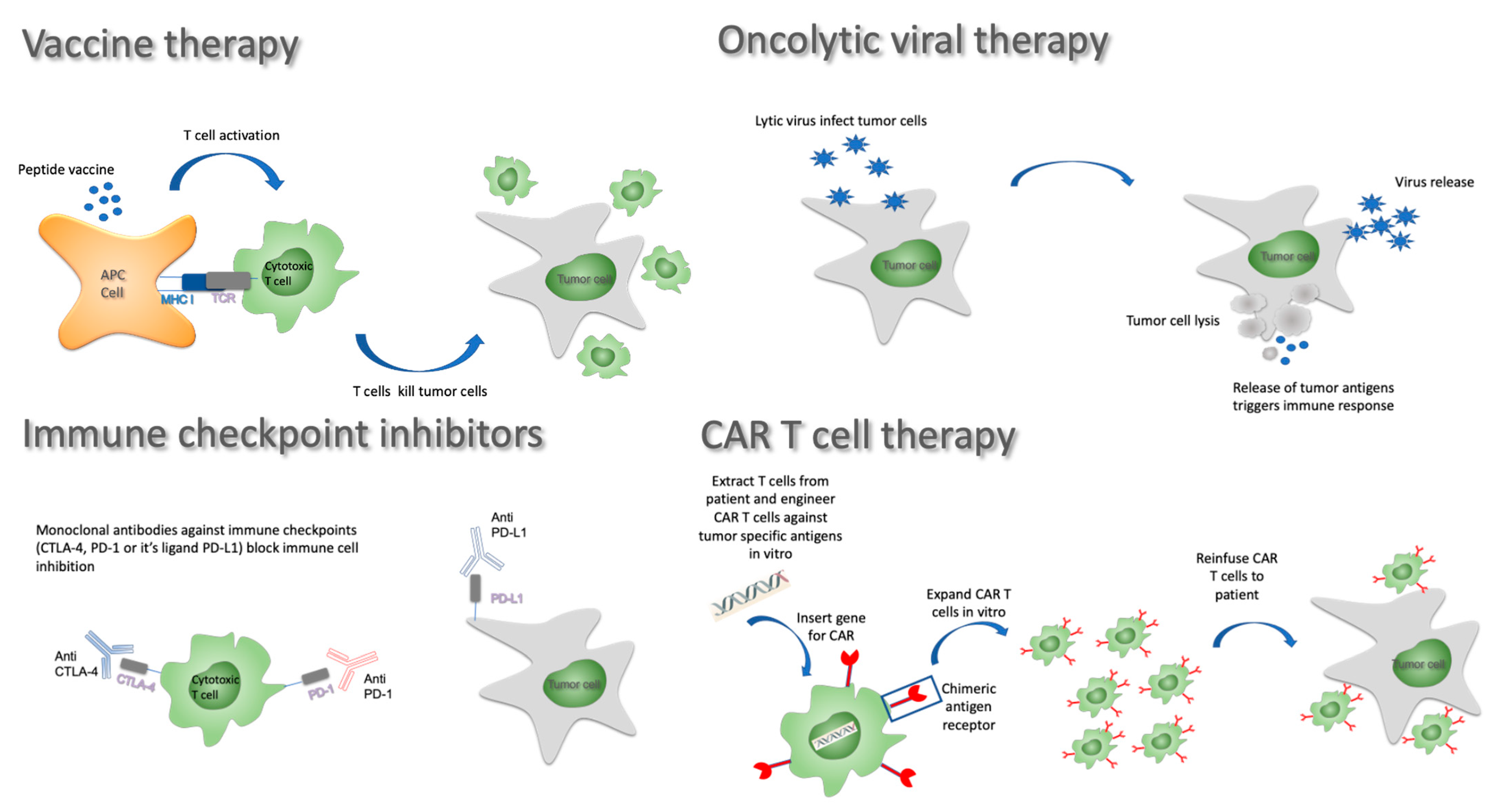 Cancers 13 03721 g002