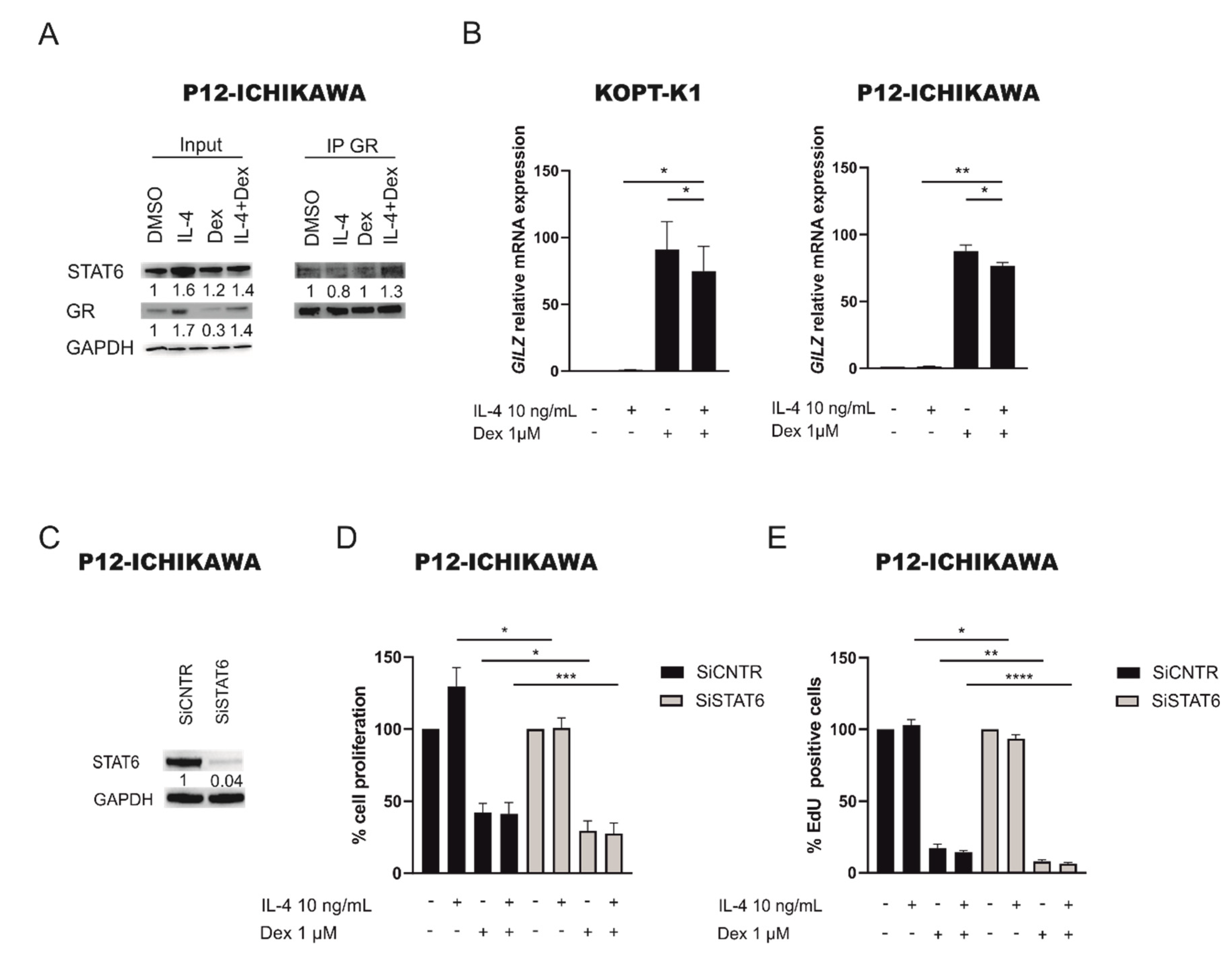 Cancers 13 03724 g003 Cancers 13 03724 g003