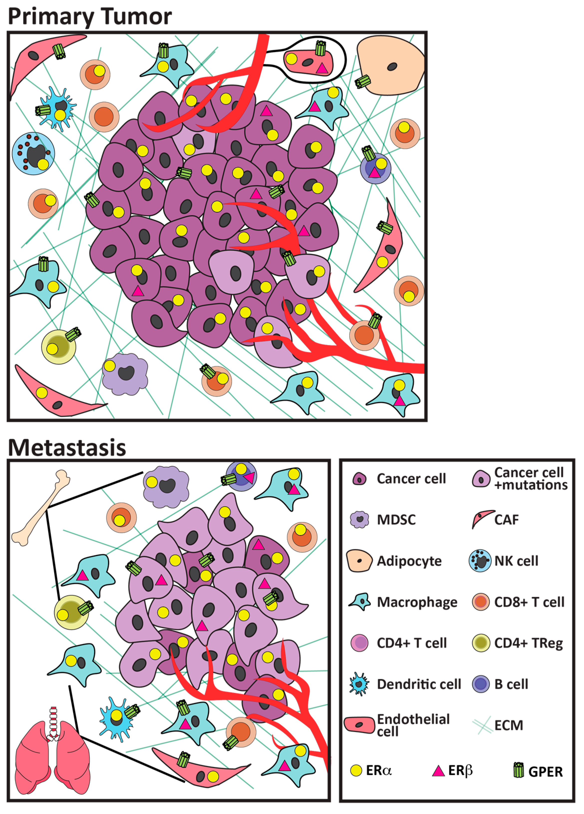 Cancers 13 03725 g001 Cancers 13 03725 g001